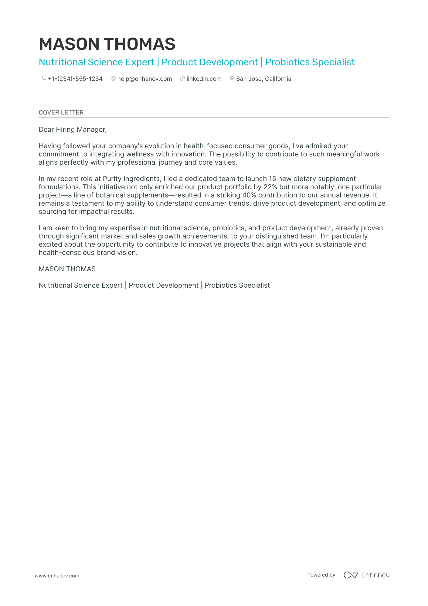 Technical Manager Resume Example