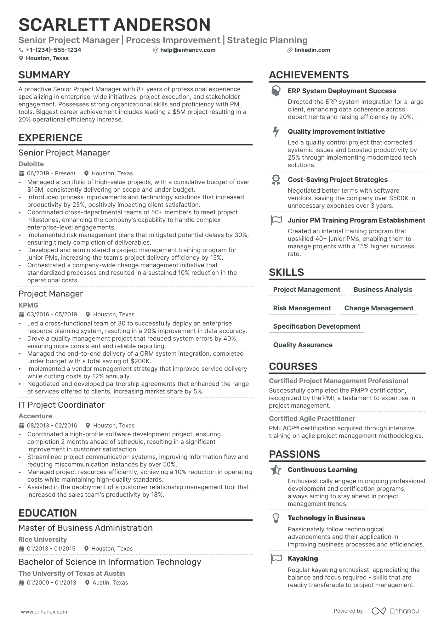 PMO Director Resume Example