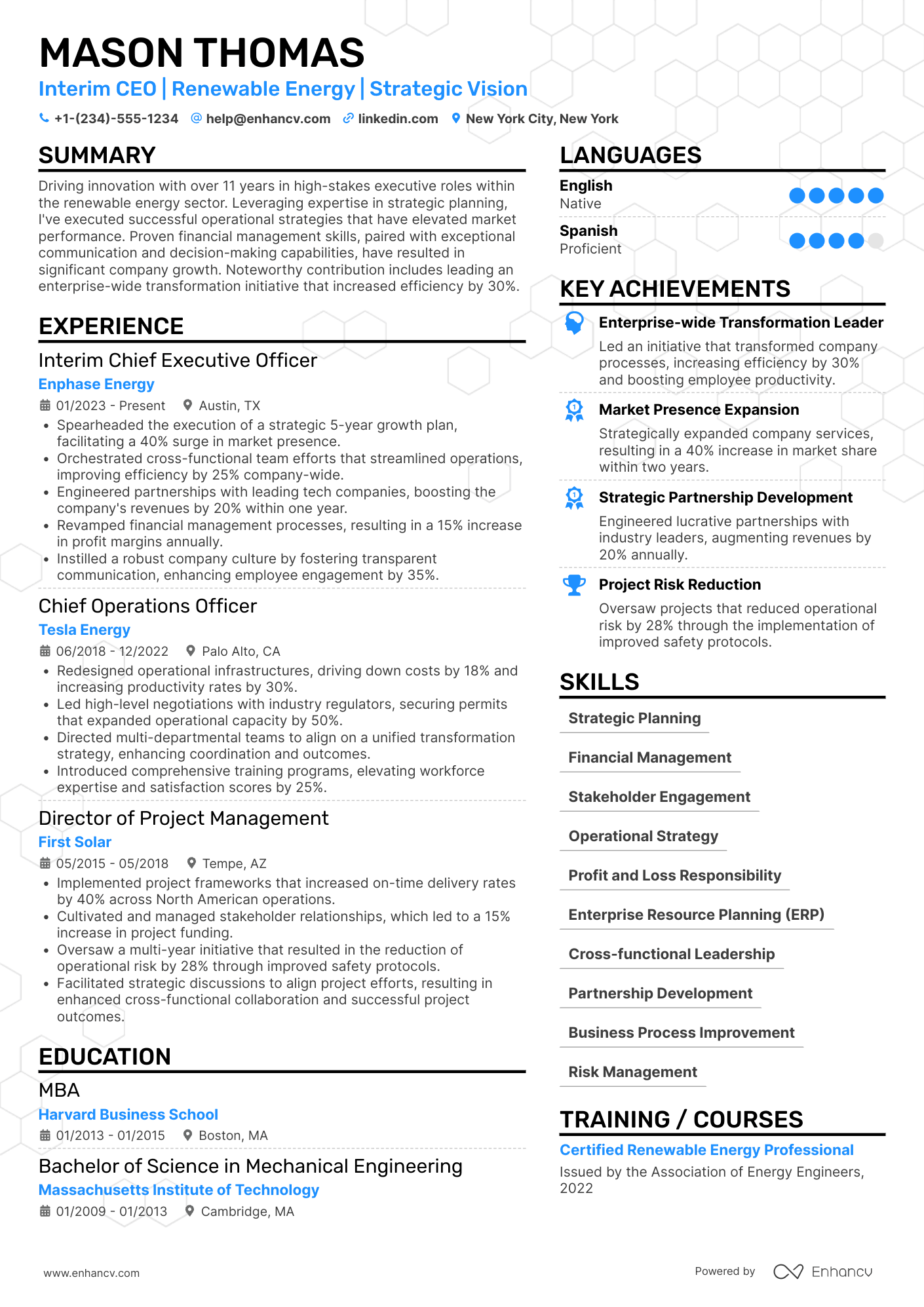 Interim Chief Executive Officer Resume Example