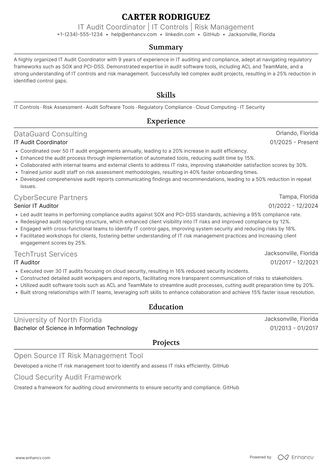 IT Audit Coordinator Resume Example