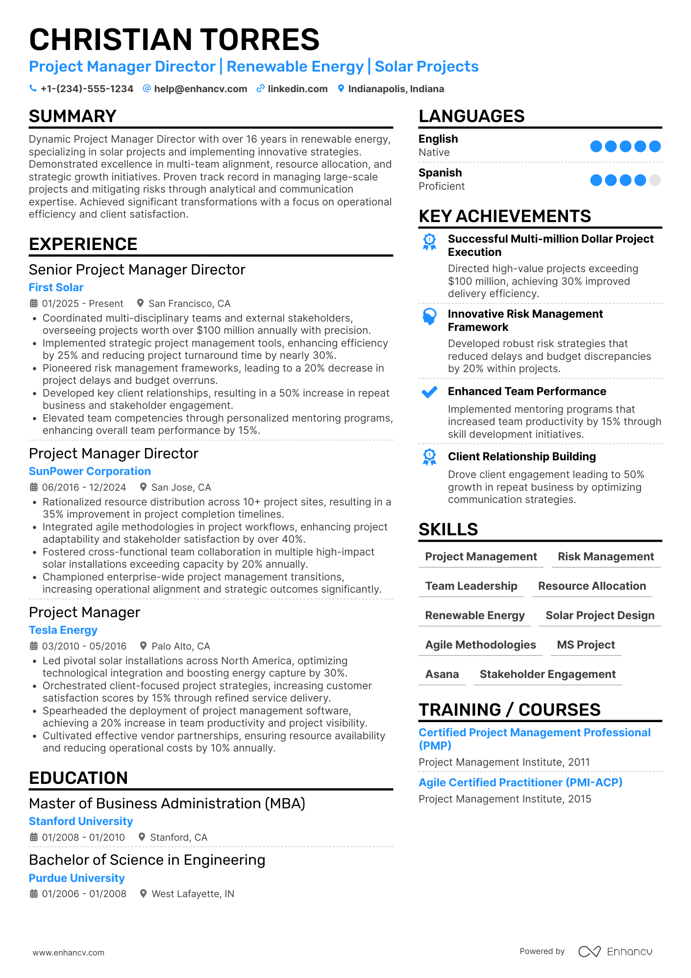 Project Manager Director Resume Example