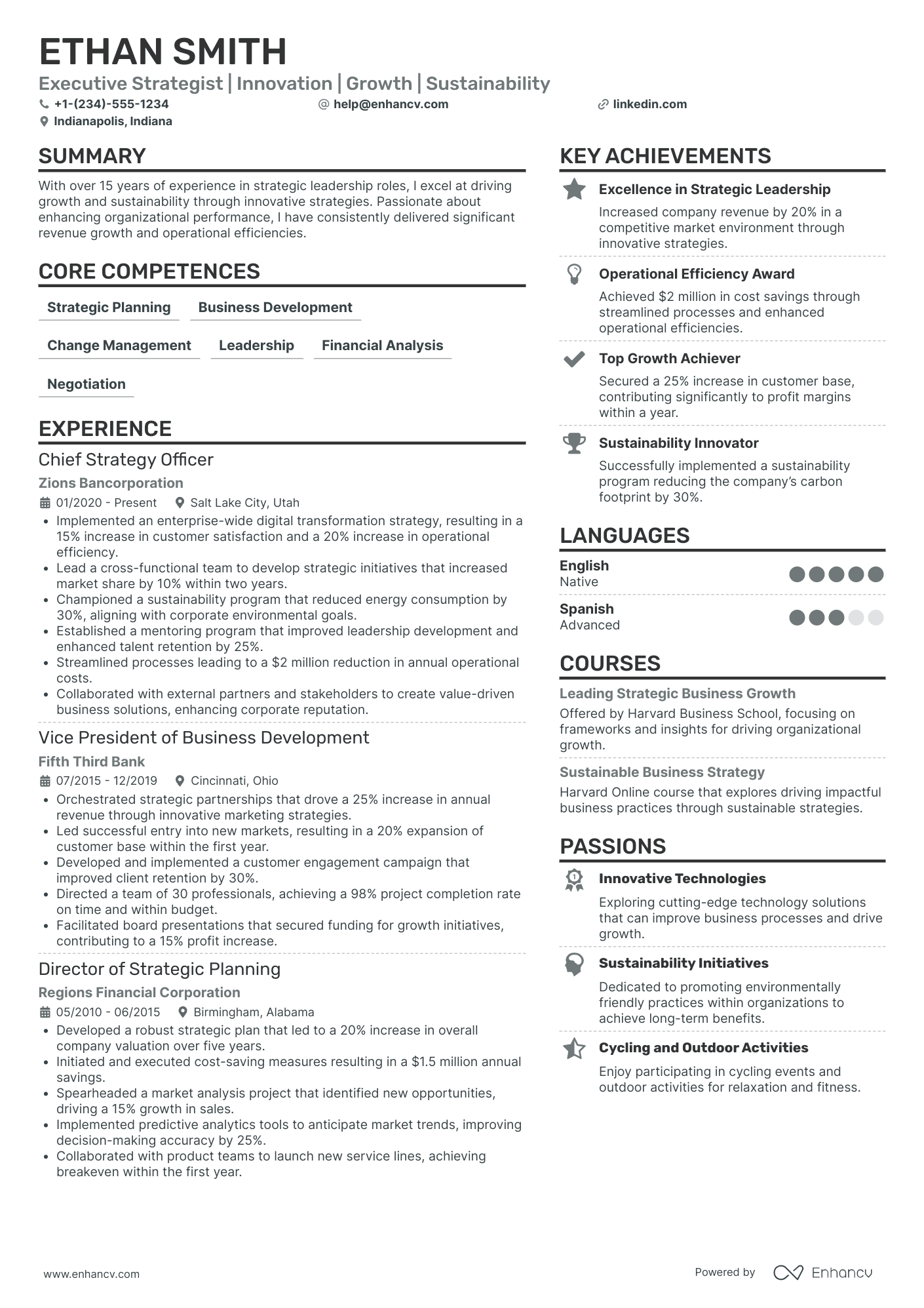 Chief Risk Officer in Manufacturing Resume Example