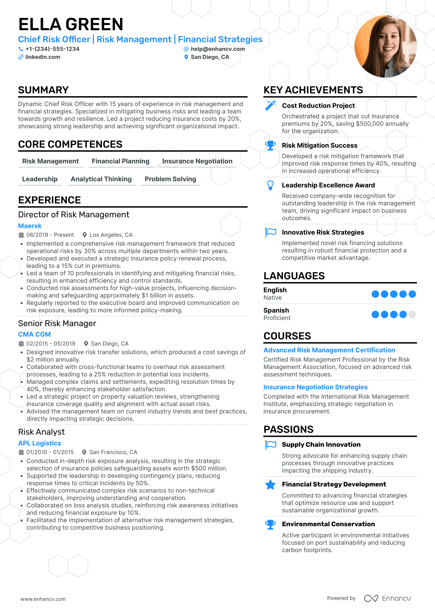 Chief Risk Officer Resume Example