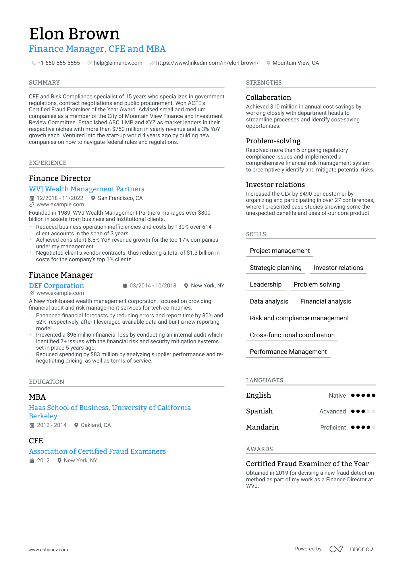 Chief Financial Officer Resume Example