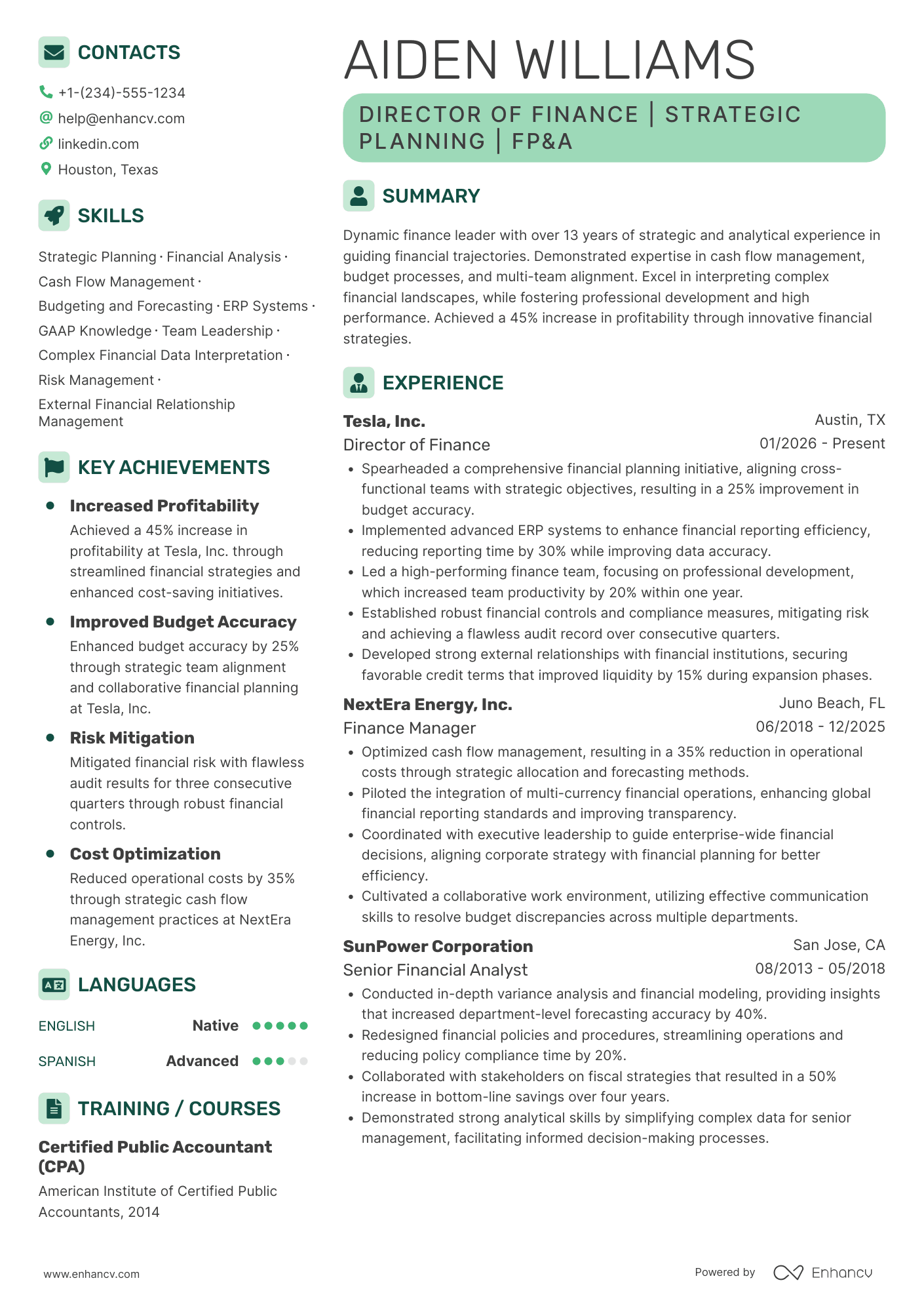Director of Finance Resume Example