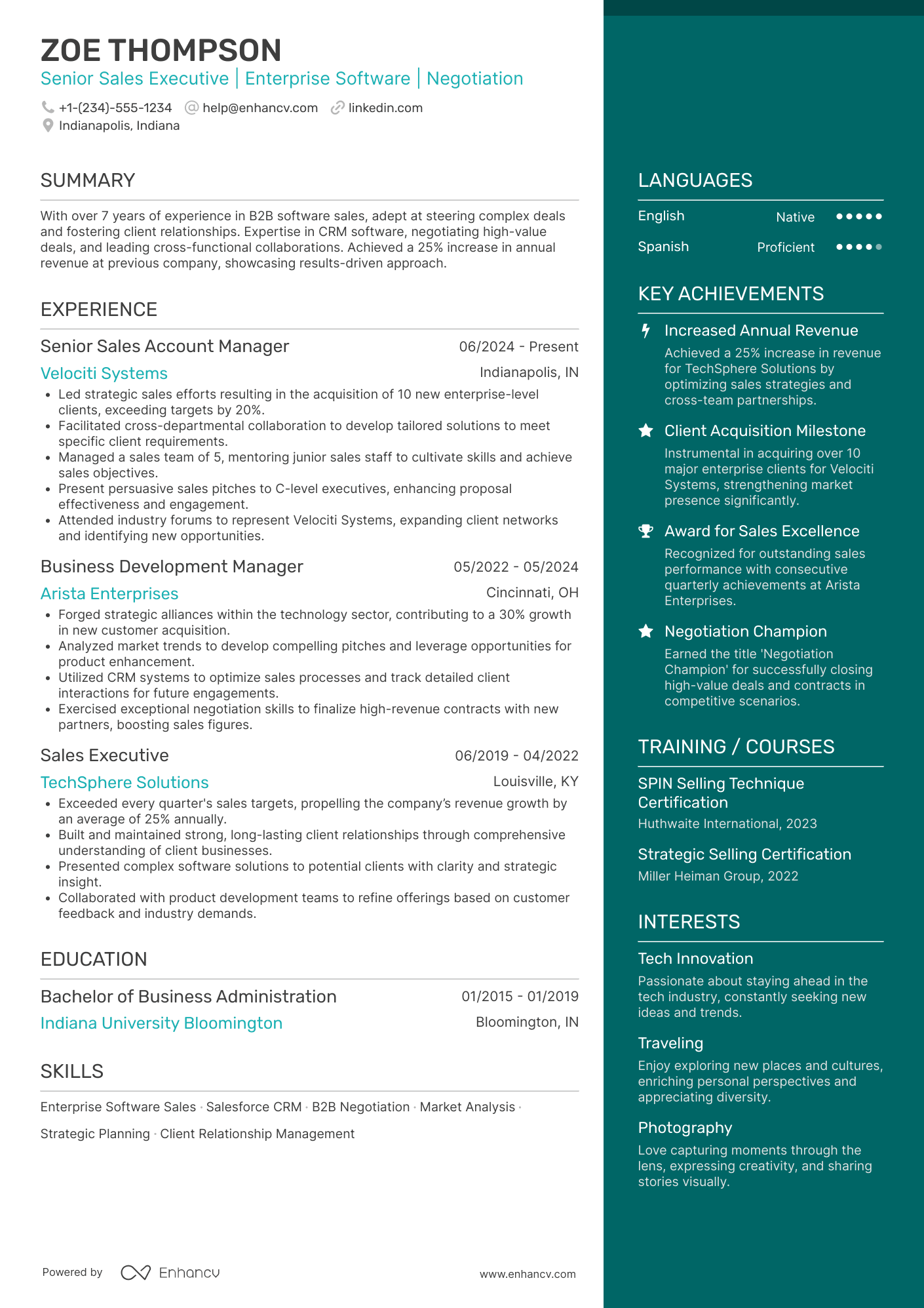 Senior Sales Executive Resume Example