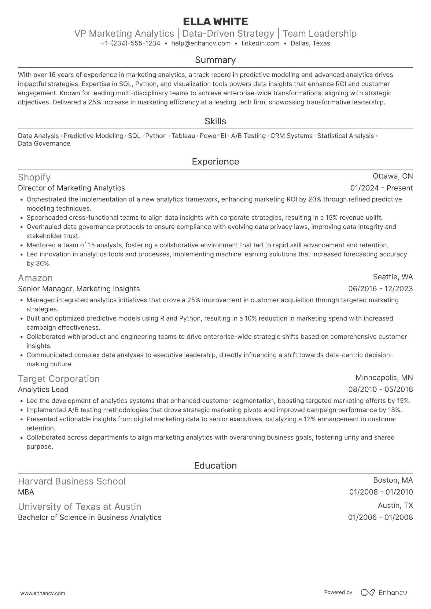 VP Marketing Analytics Resume Example