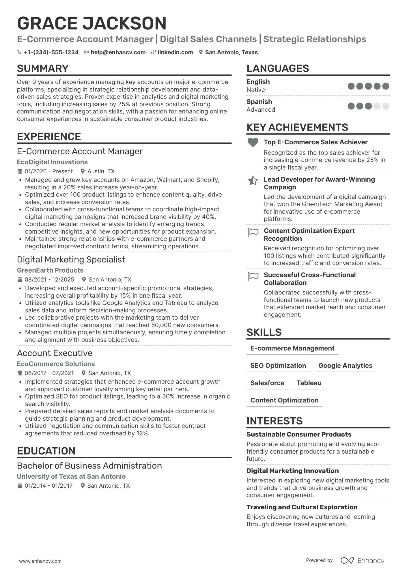 E Commerce Account Manager Resume Example