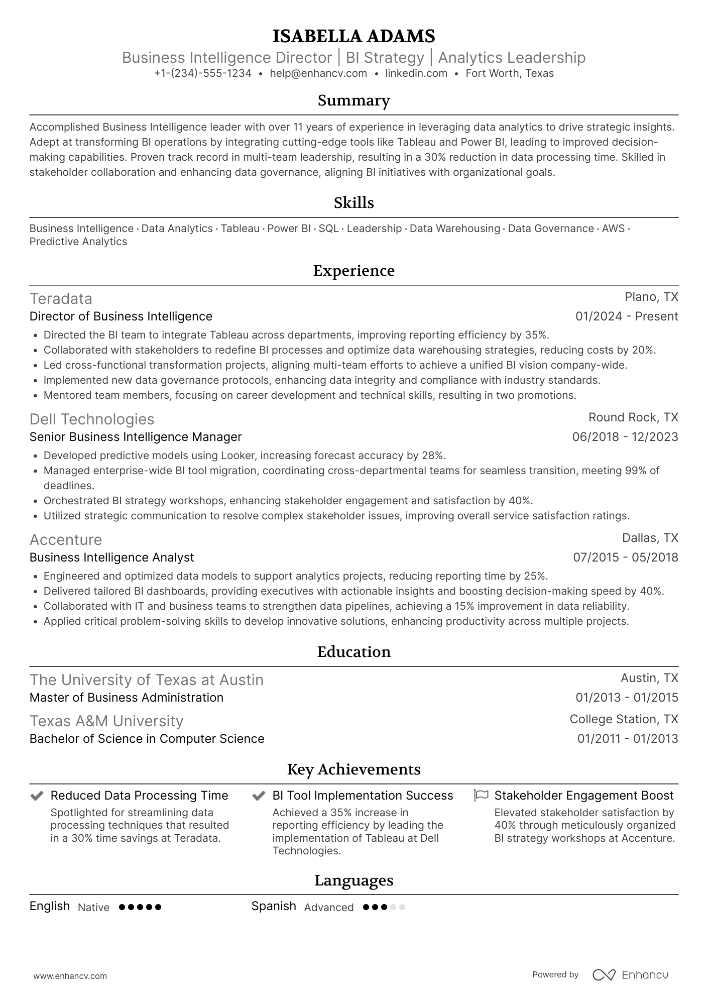 Business Intelligence Director Resume Example