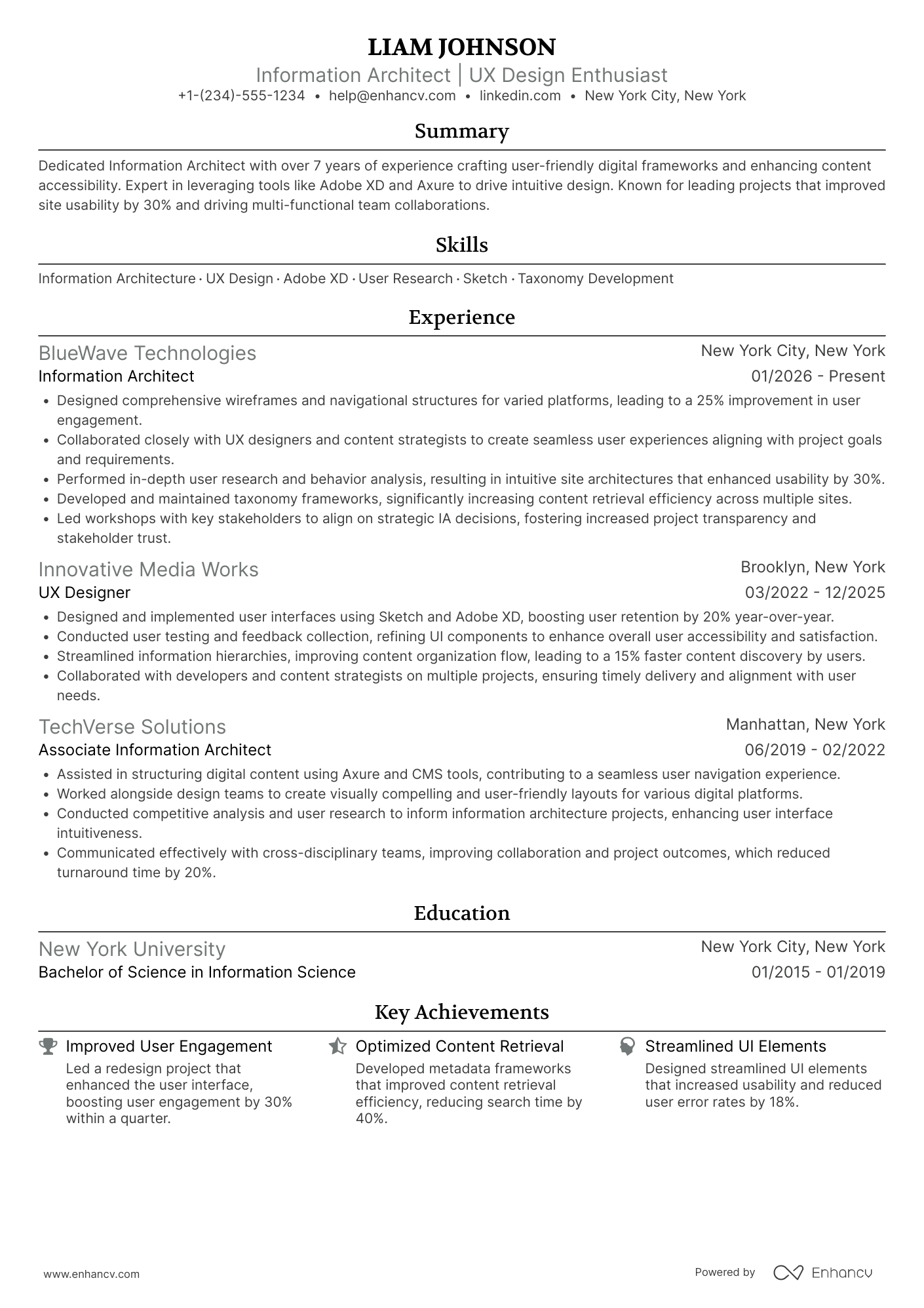 Information Architect Resume Example