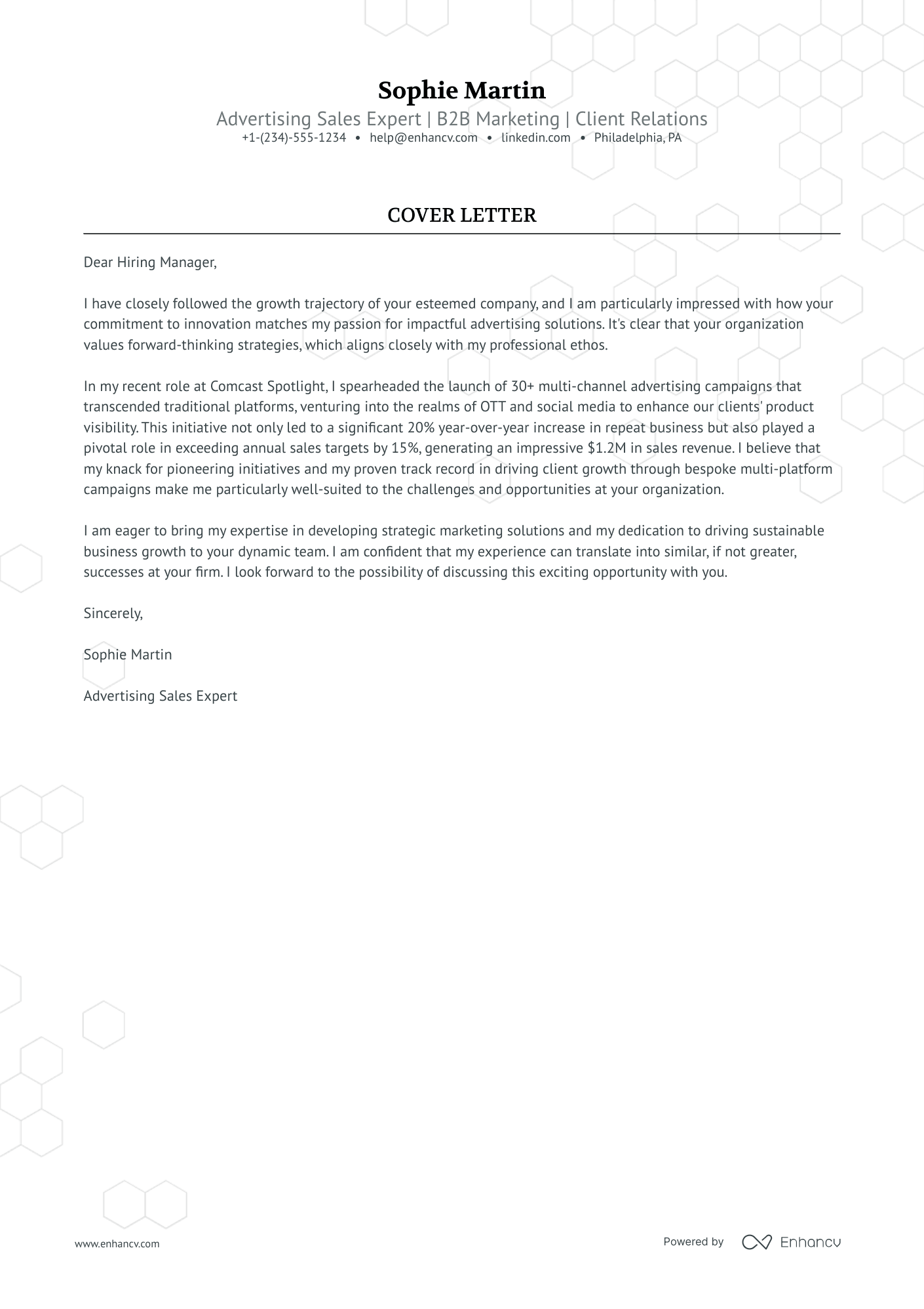 Advertising Sales Executive Resume Example