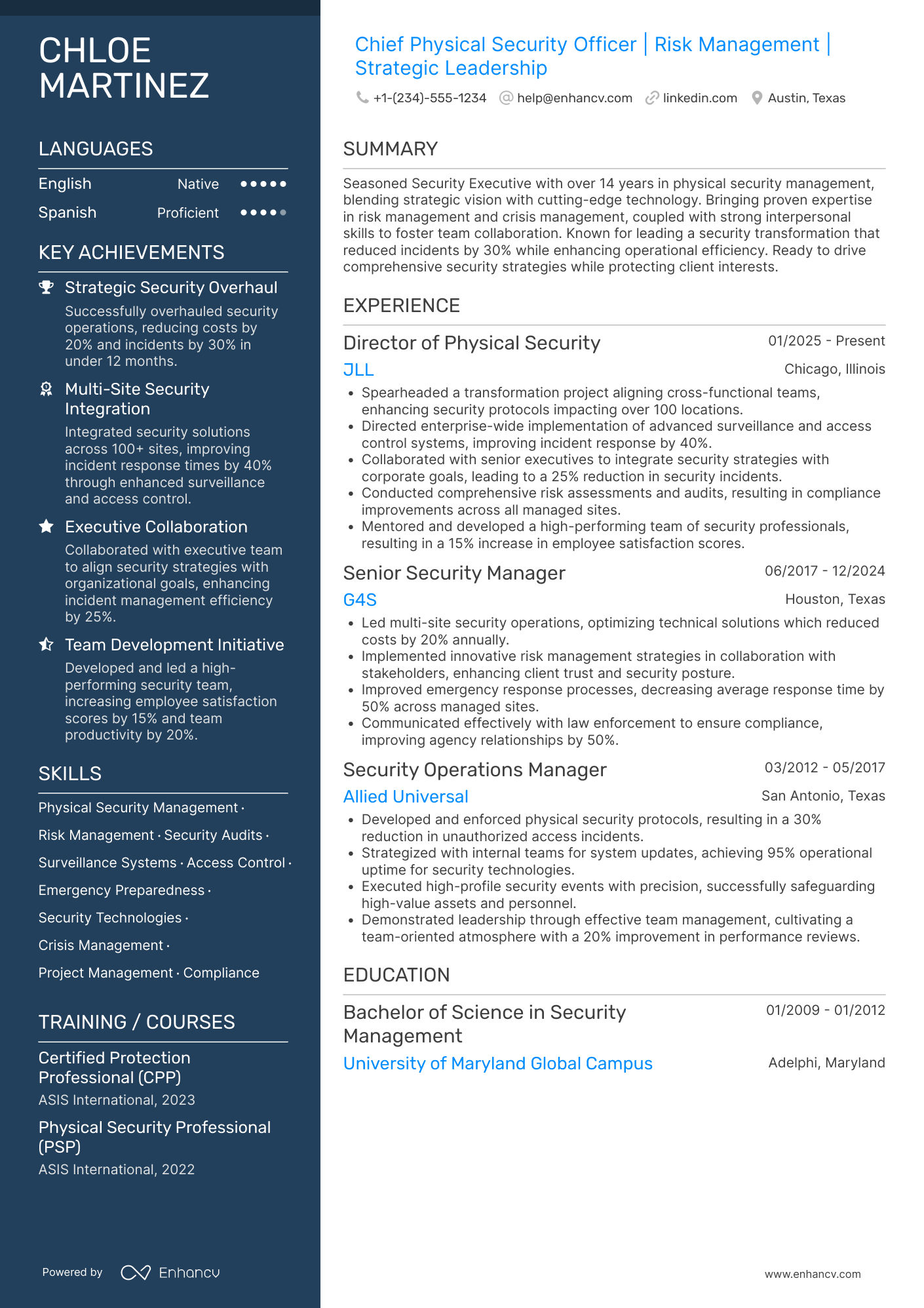 Chief Physical Security Officer Resume Example