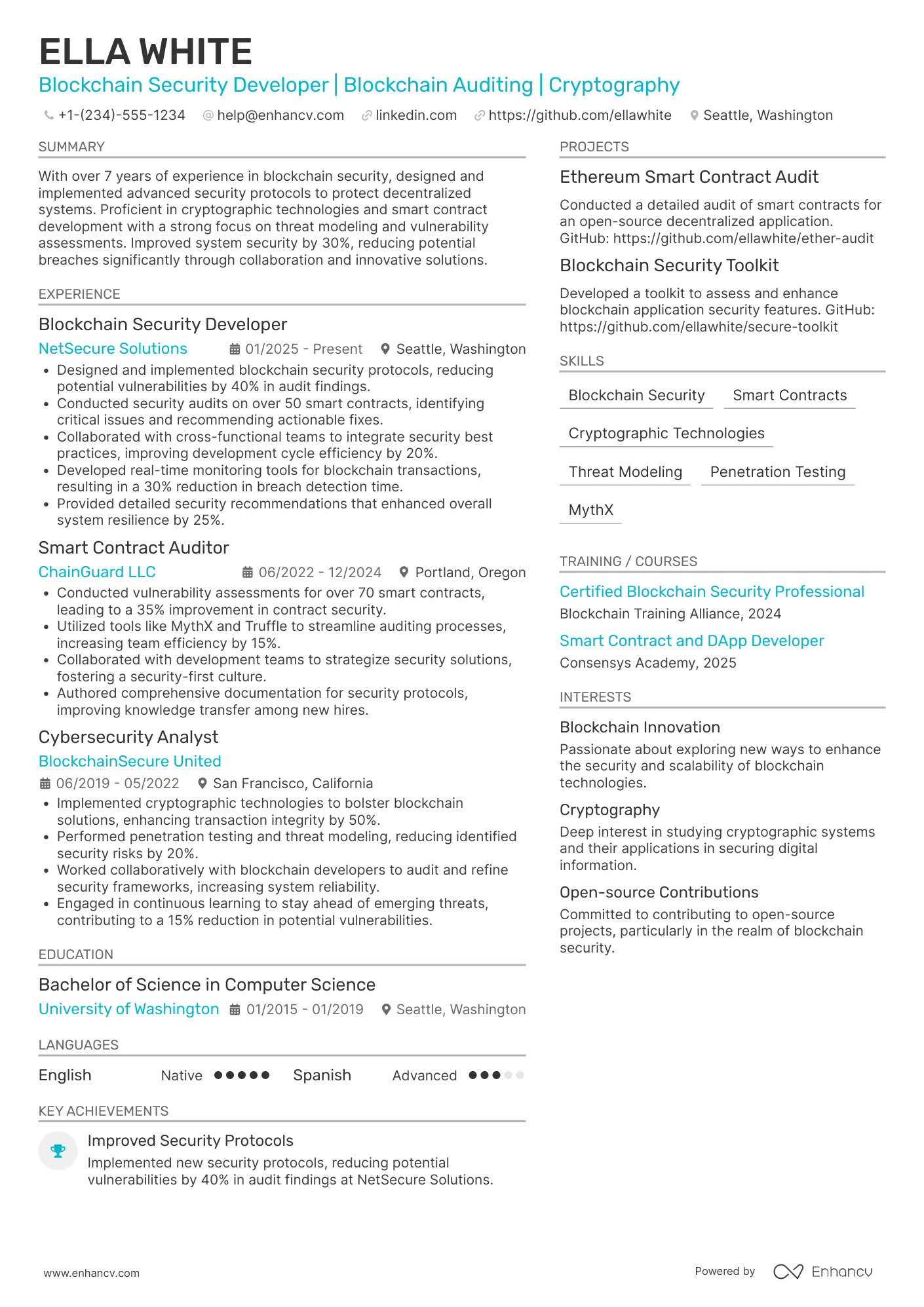 Blockchain Security Developer Resume Example