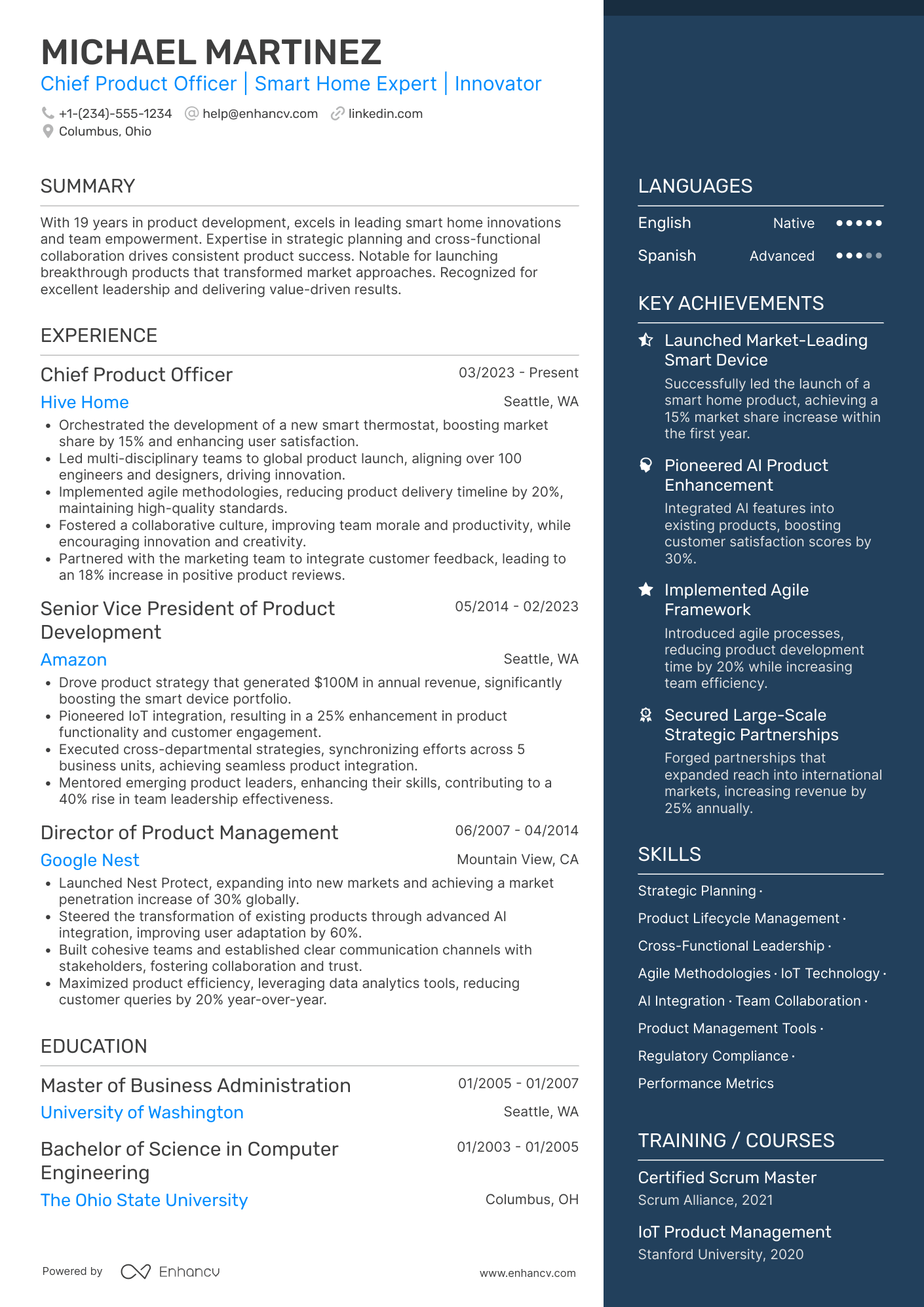 Chief Product Development Officer Resume Example