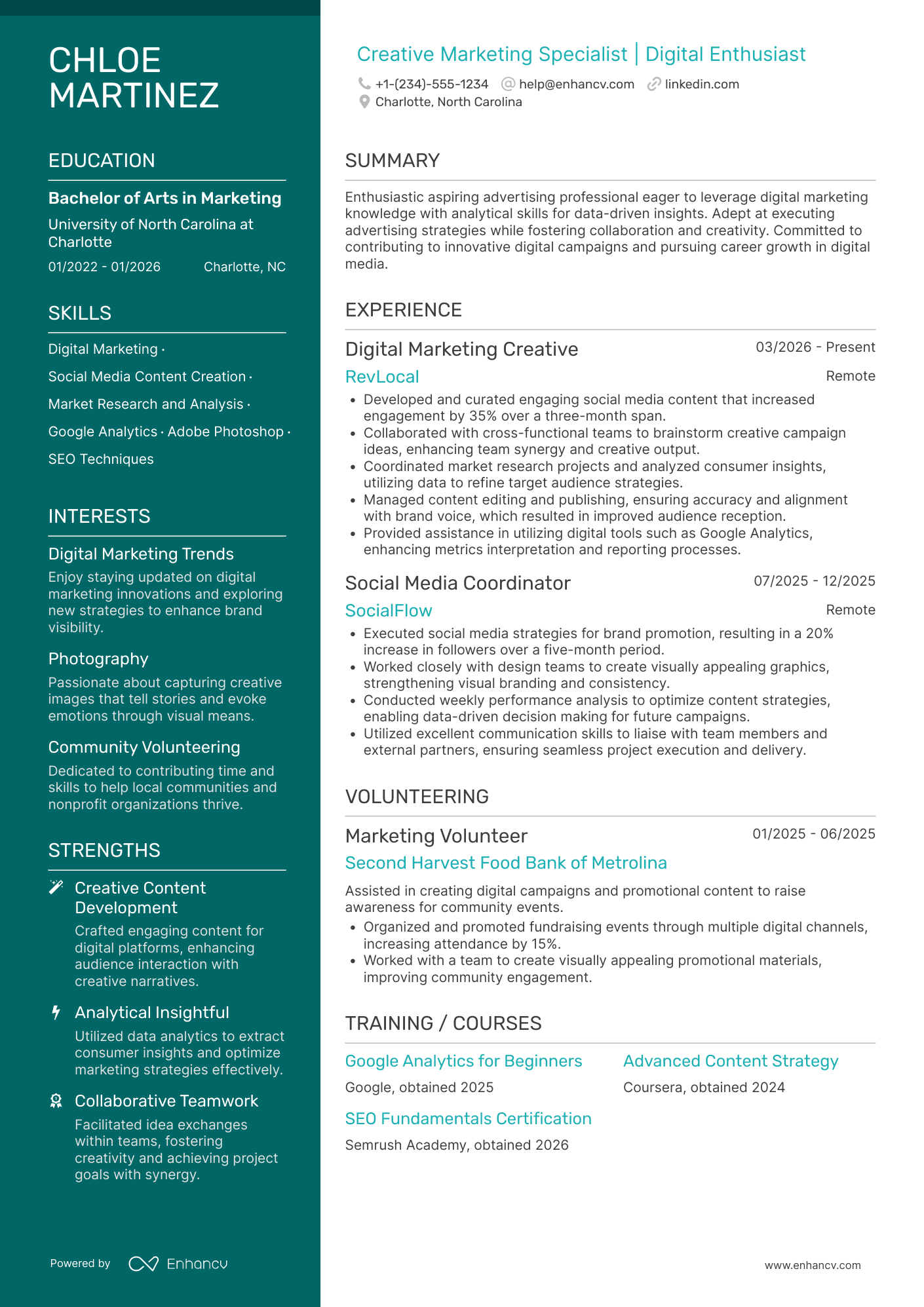 Advertising Intern Resume Example