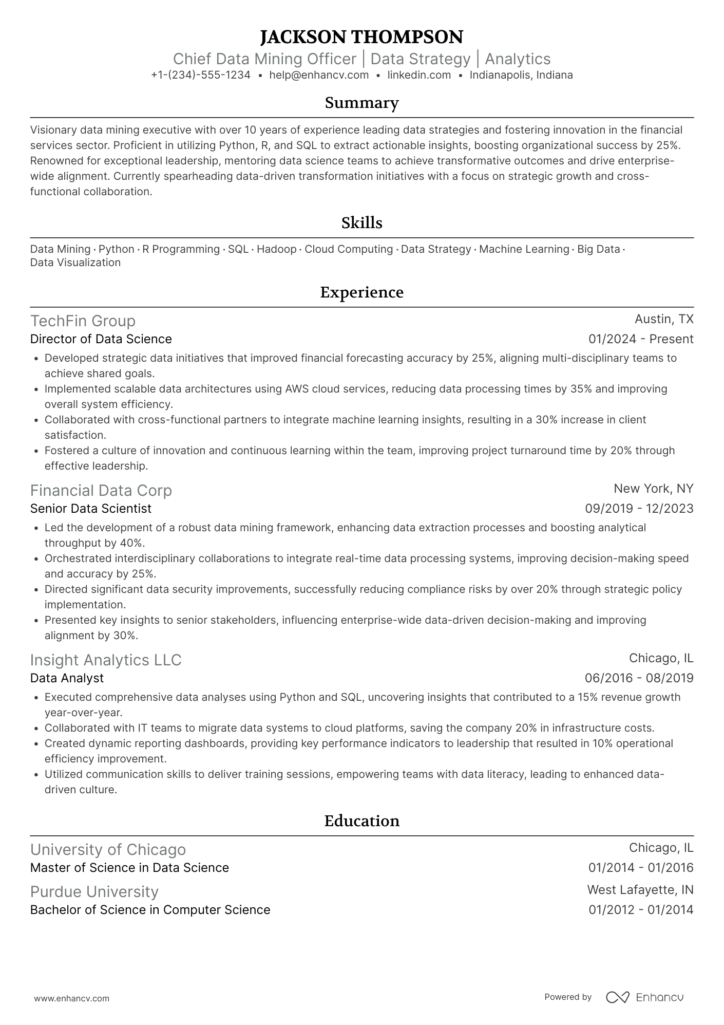 Chief Data Mining Officer Resume Example