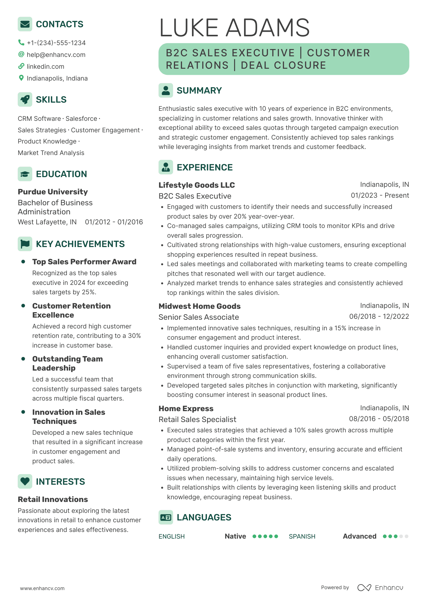B2C Sales Executive Resume Example