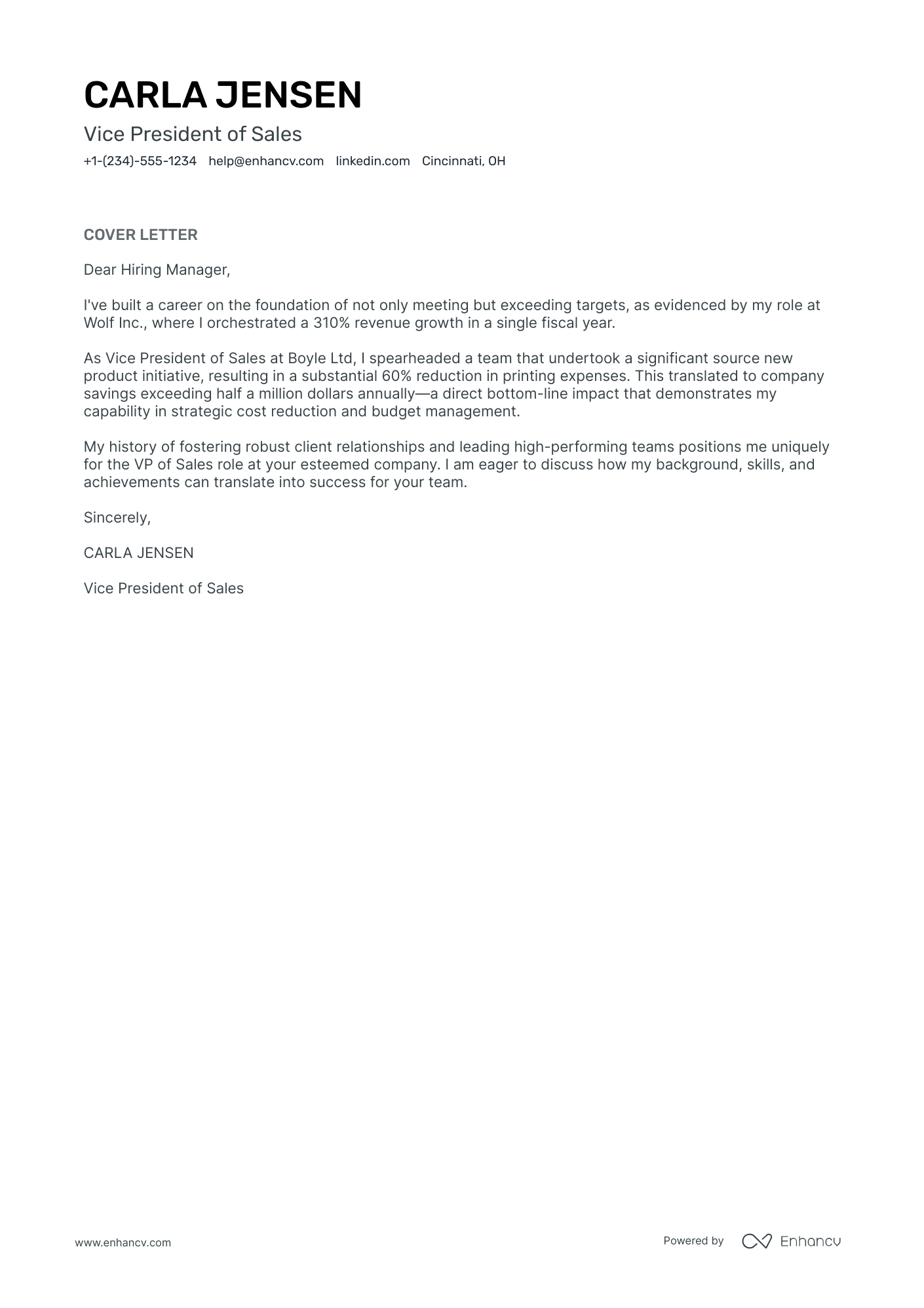 VP of Sales Resume Example