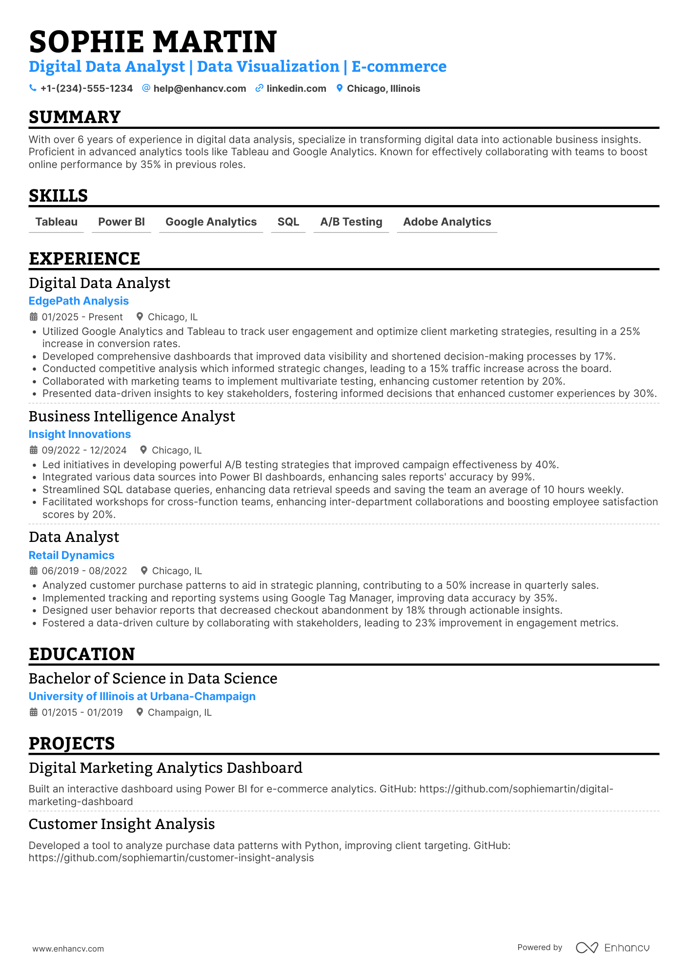 Digital Data Analyst Resume Example