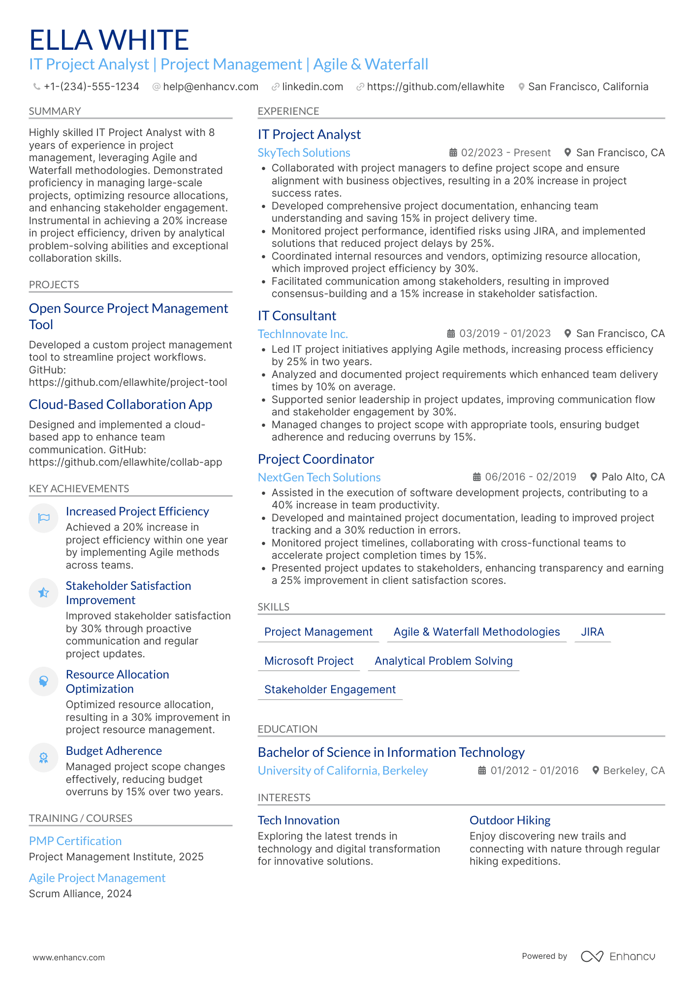 IT Project Analyst Resume Example