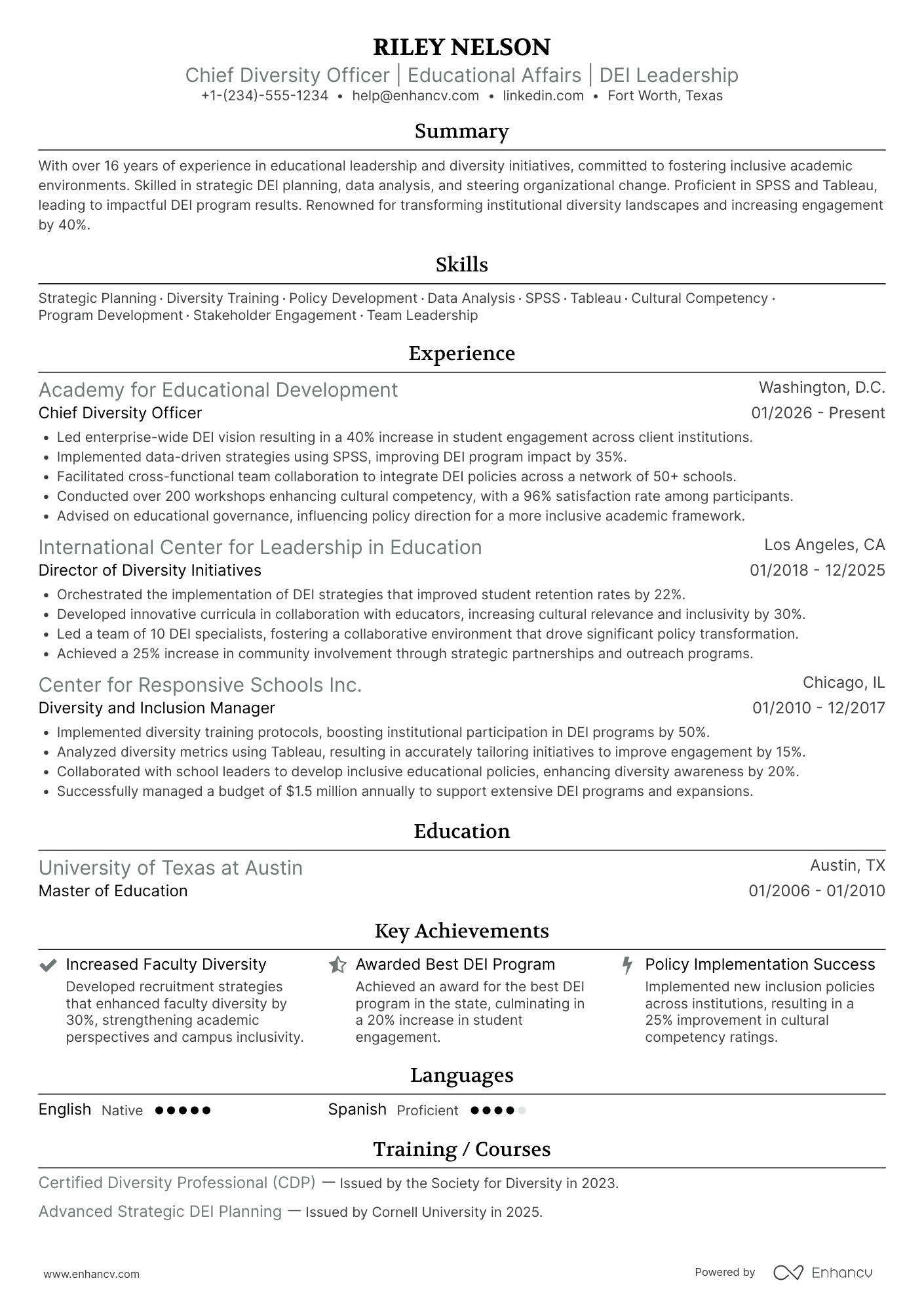 Chief Diversity Officer for Educational Affairs Resume Example