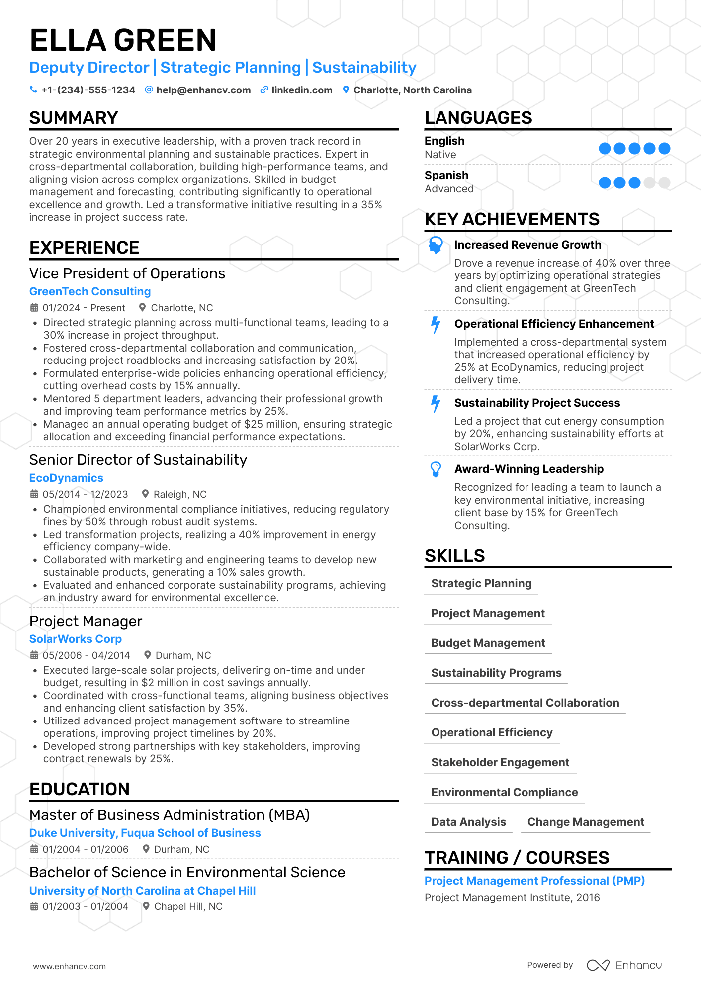 Deputy Director Resume Example