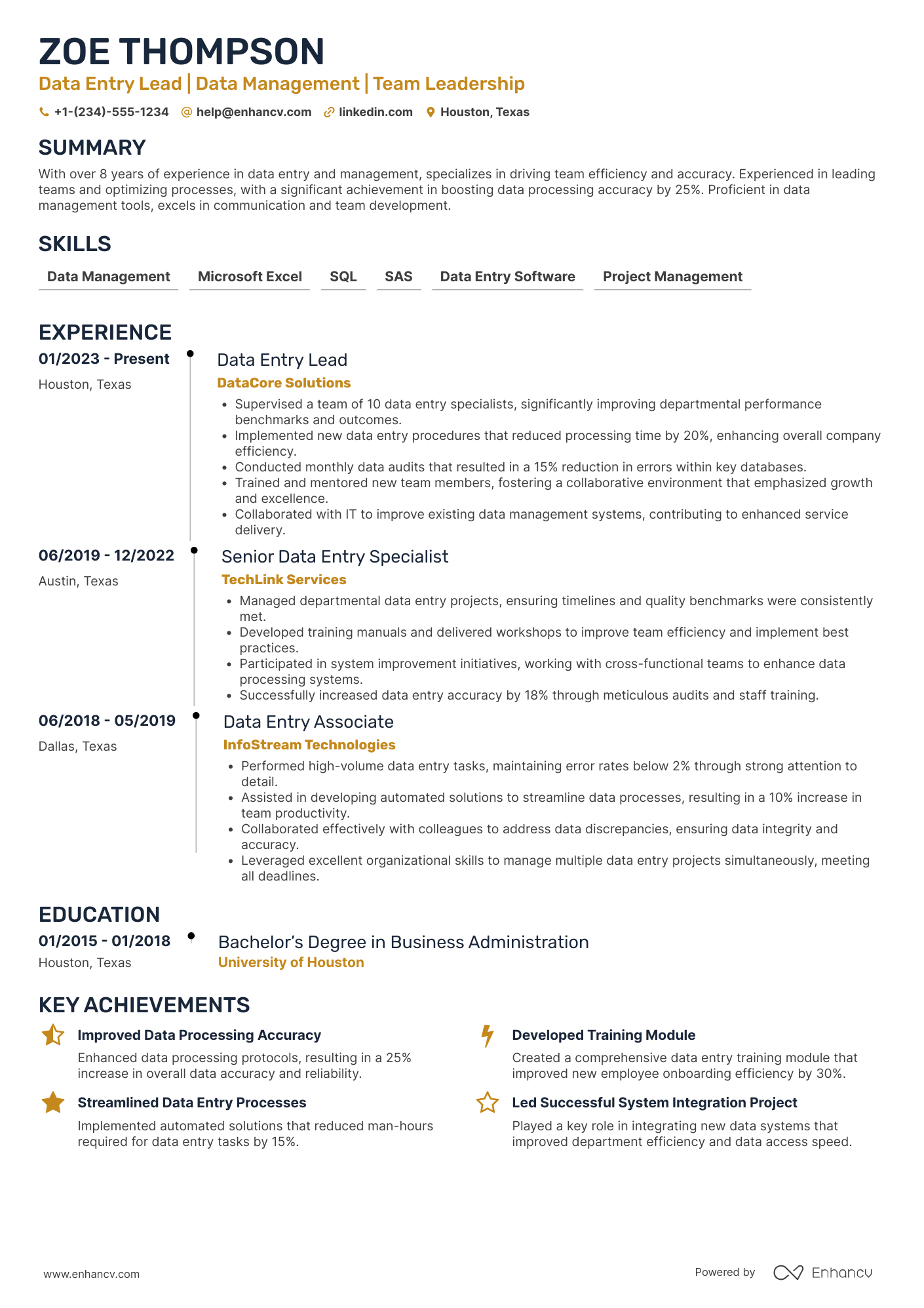 Data Entry Lead Resume Example