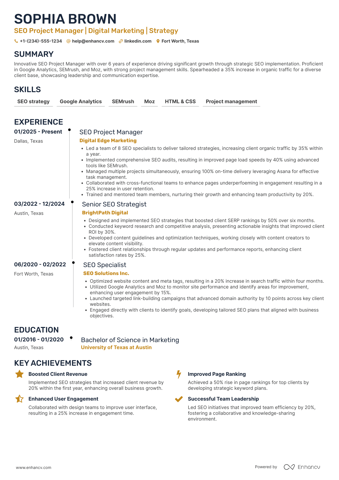 SEO Project Manager Resume Example