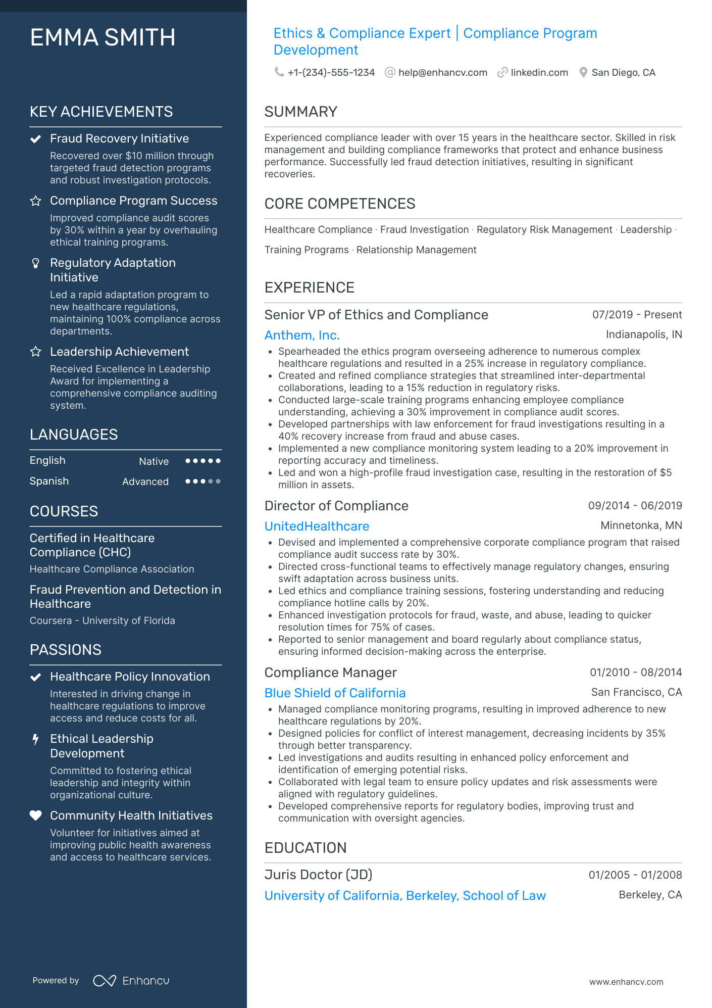 Chief Integrity and Ethics Officer Resume Example
