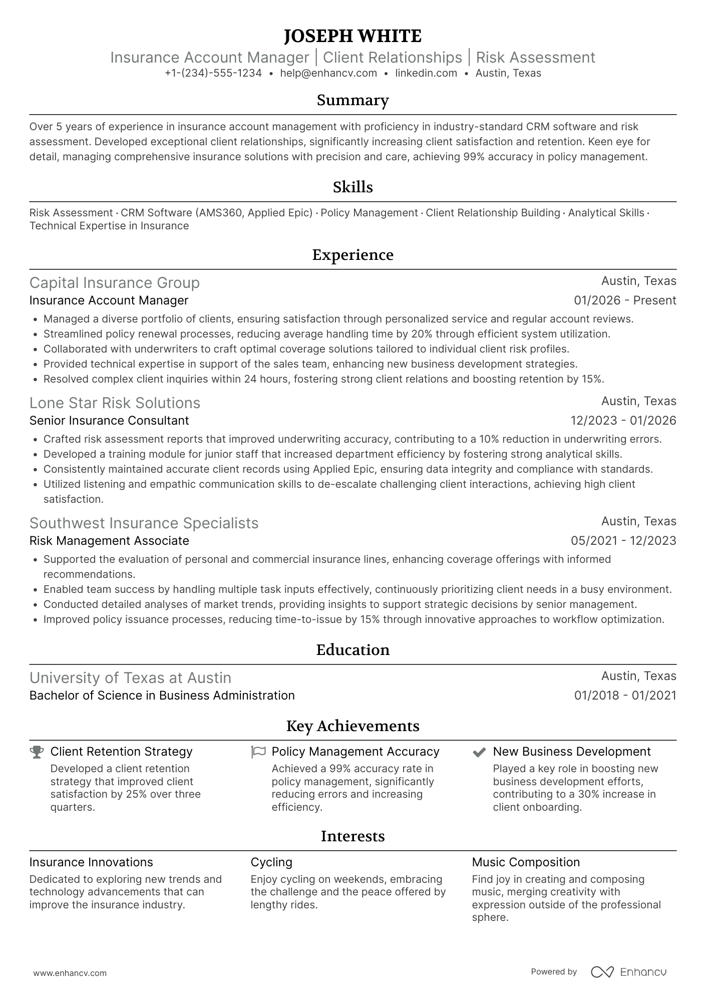 Insurance Account Manager Resume Example