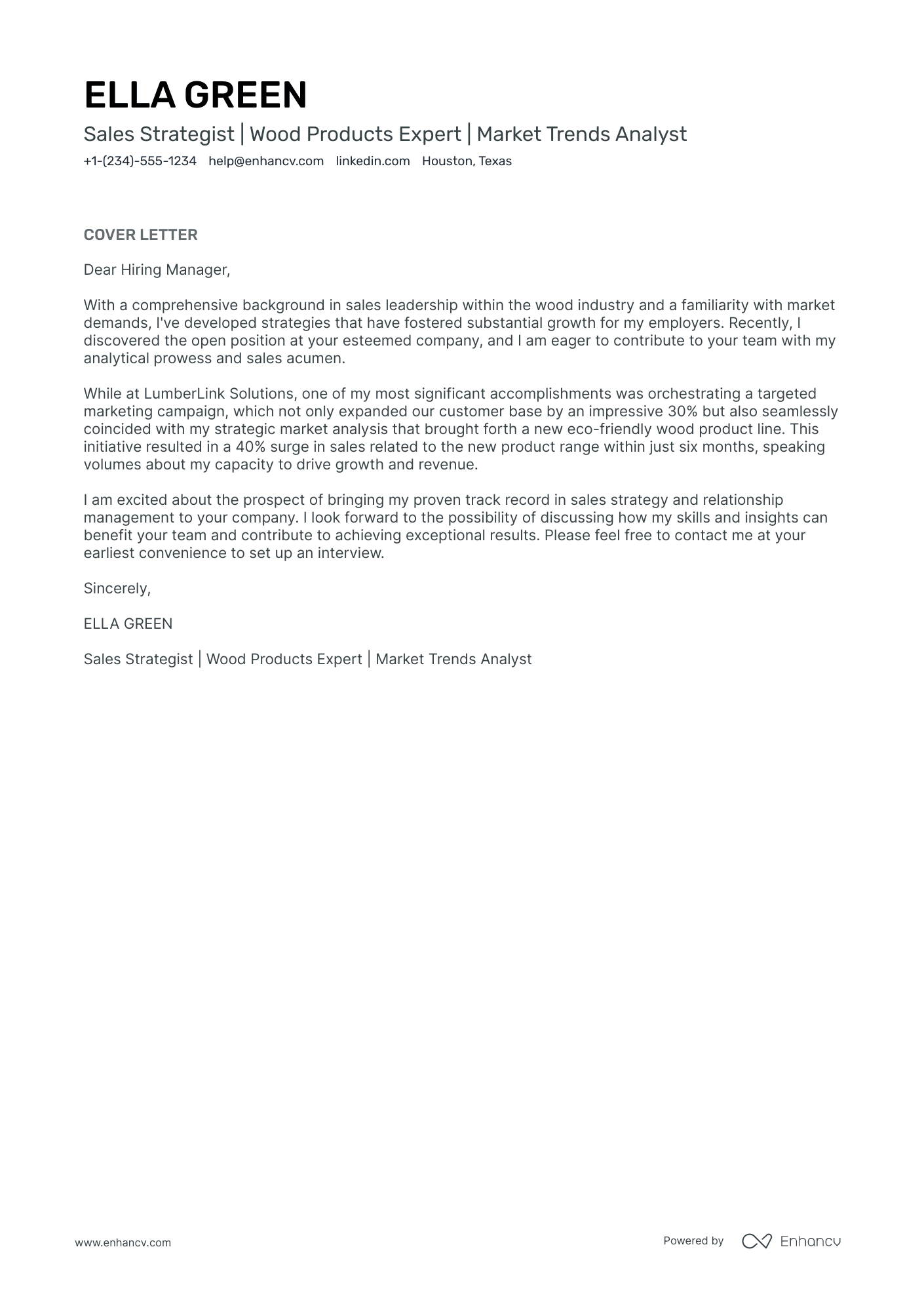 Sales and Marketing Executive Resume Example