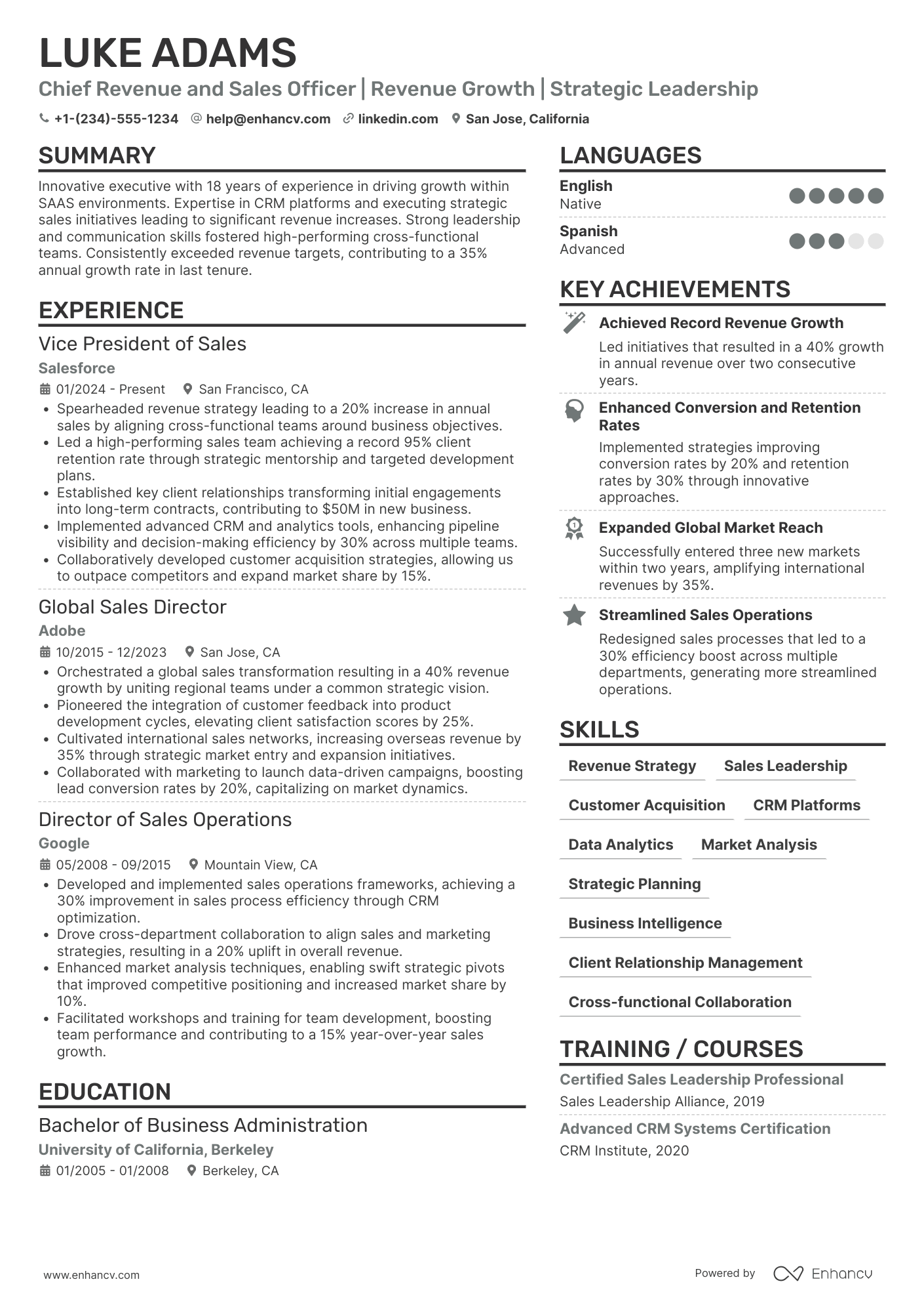 Chief Revenue and Sales Officer Resume Example