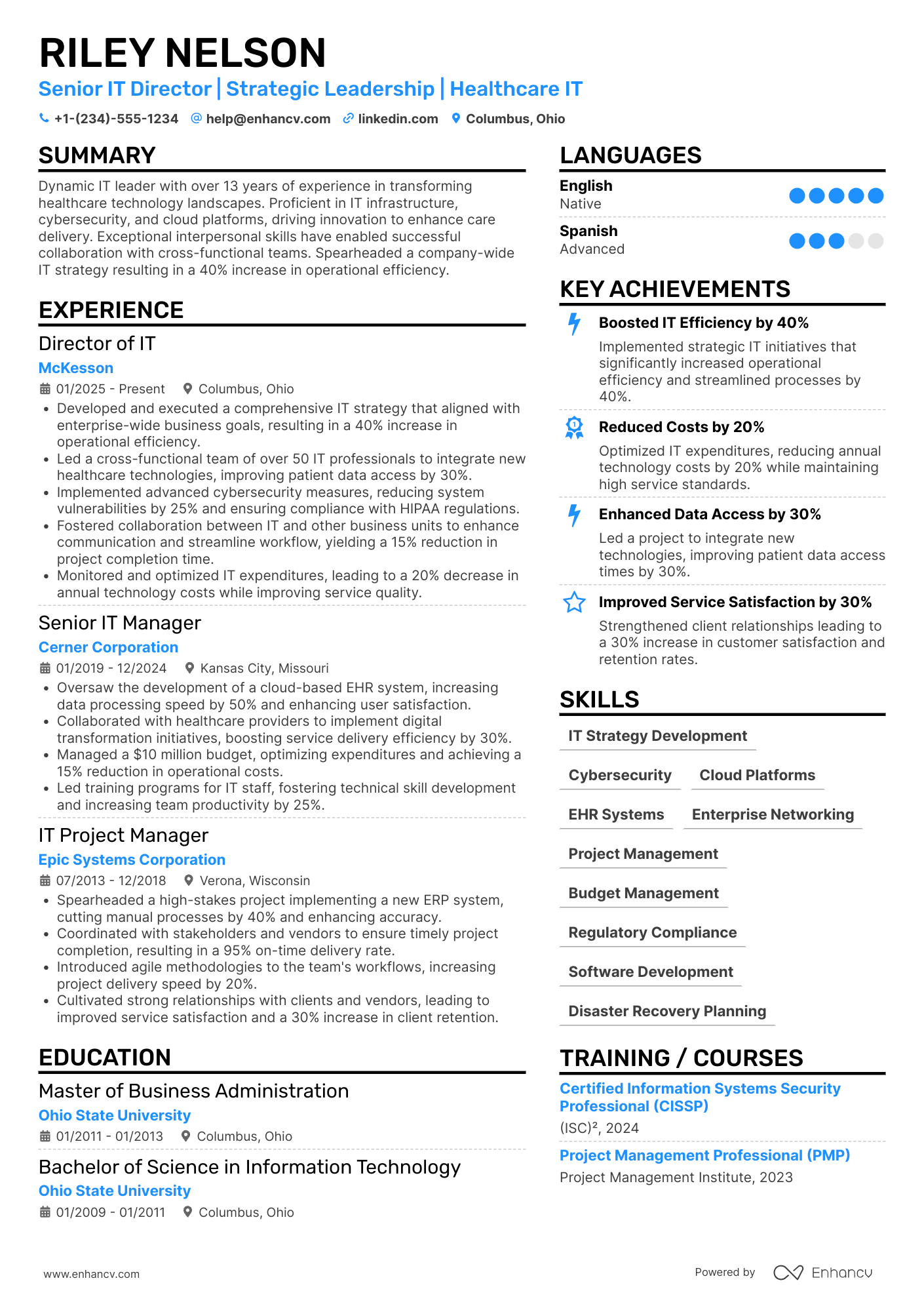 Senior IT Director Resume Example