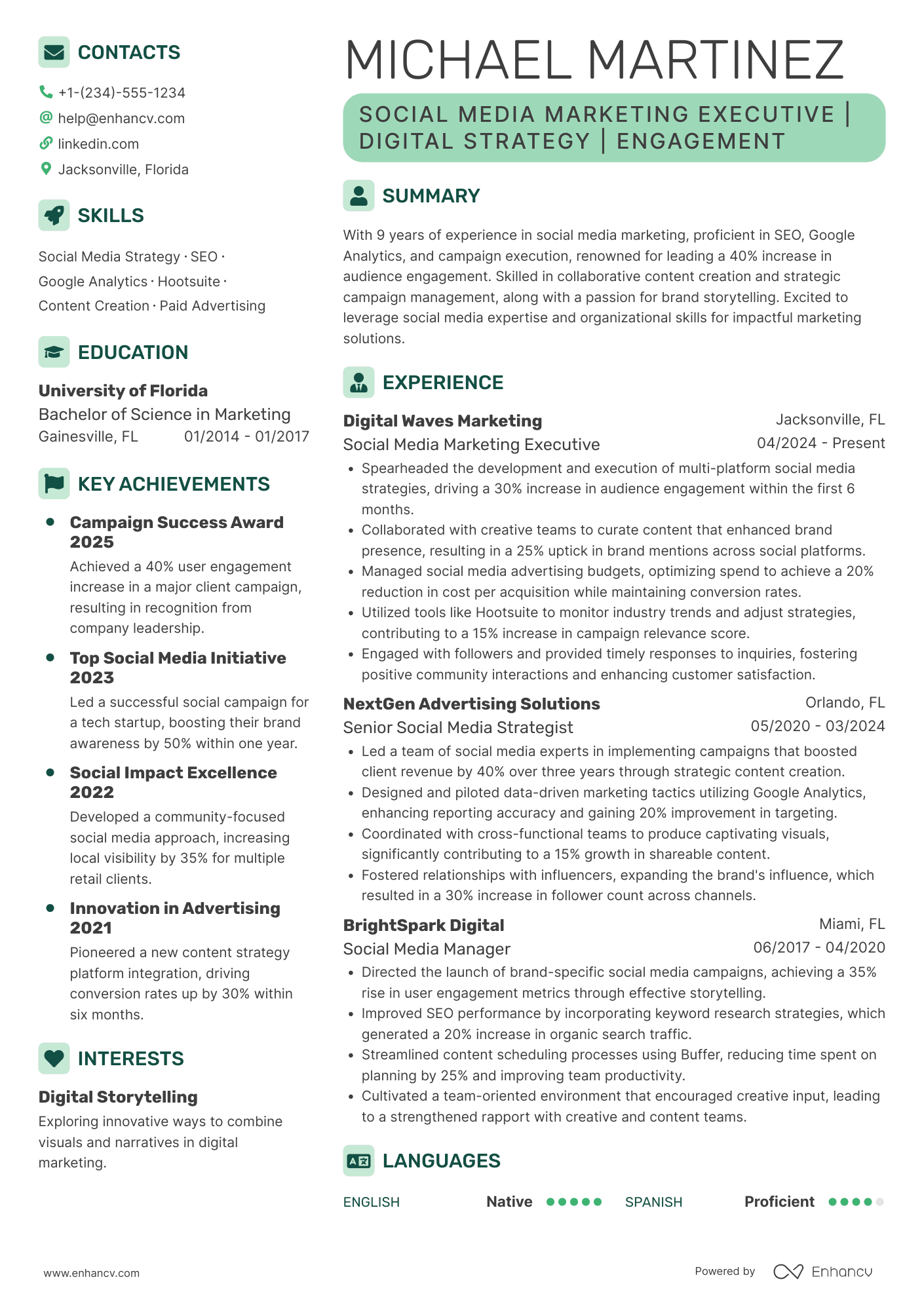 Social Media Marketing Executive Resume Example