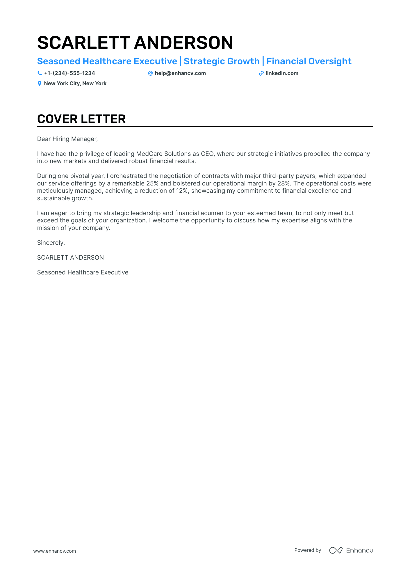 Founder & CEO Resume Example