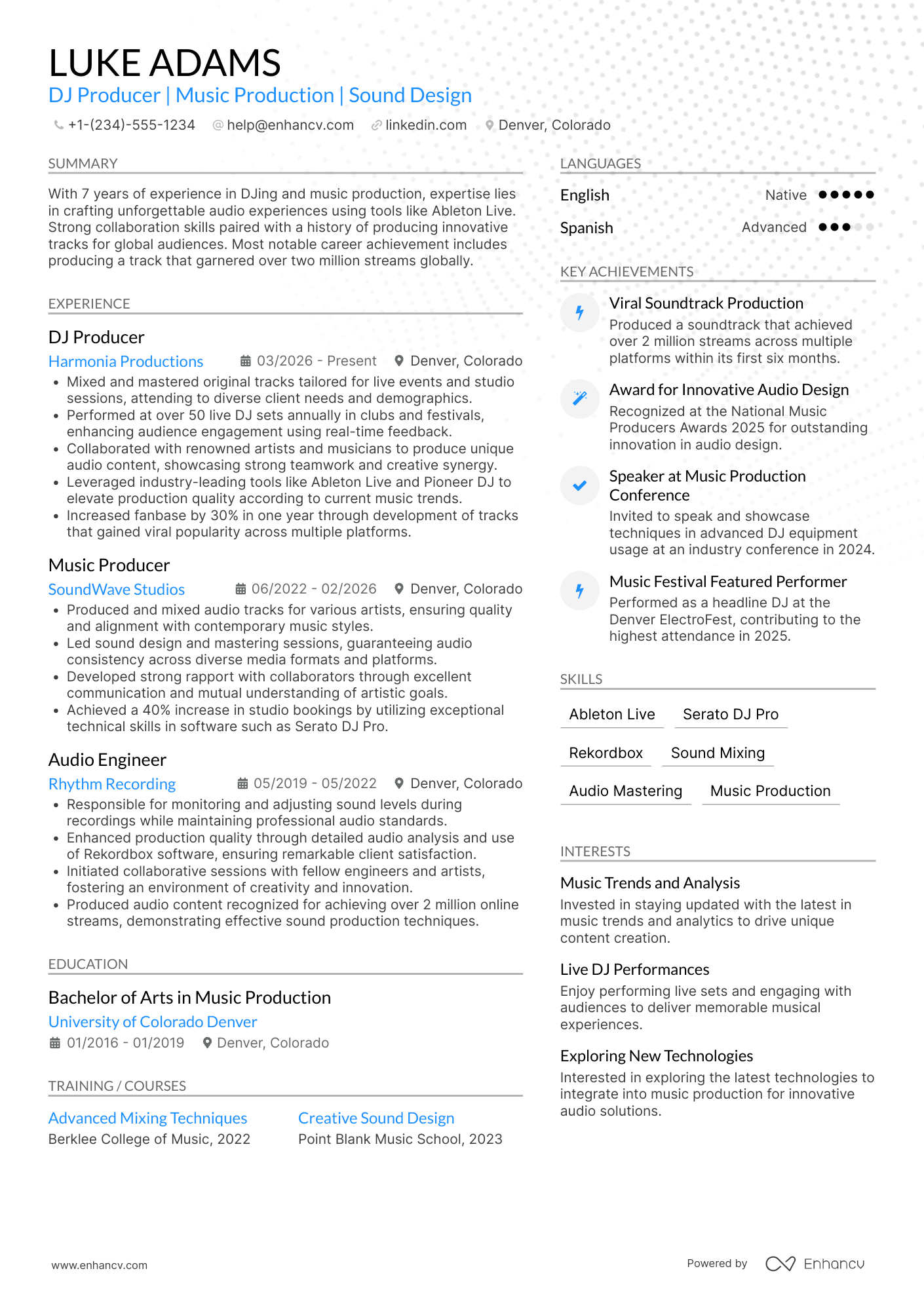 DJ Producer Resume Example