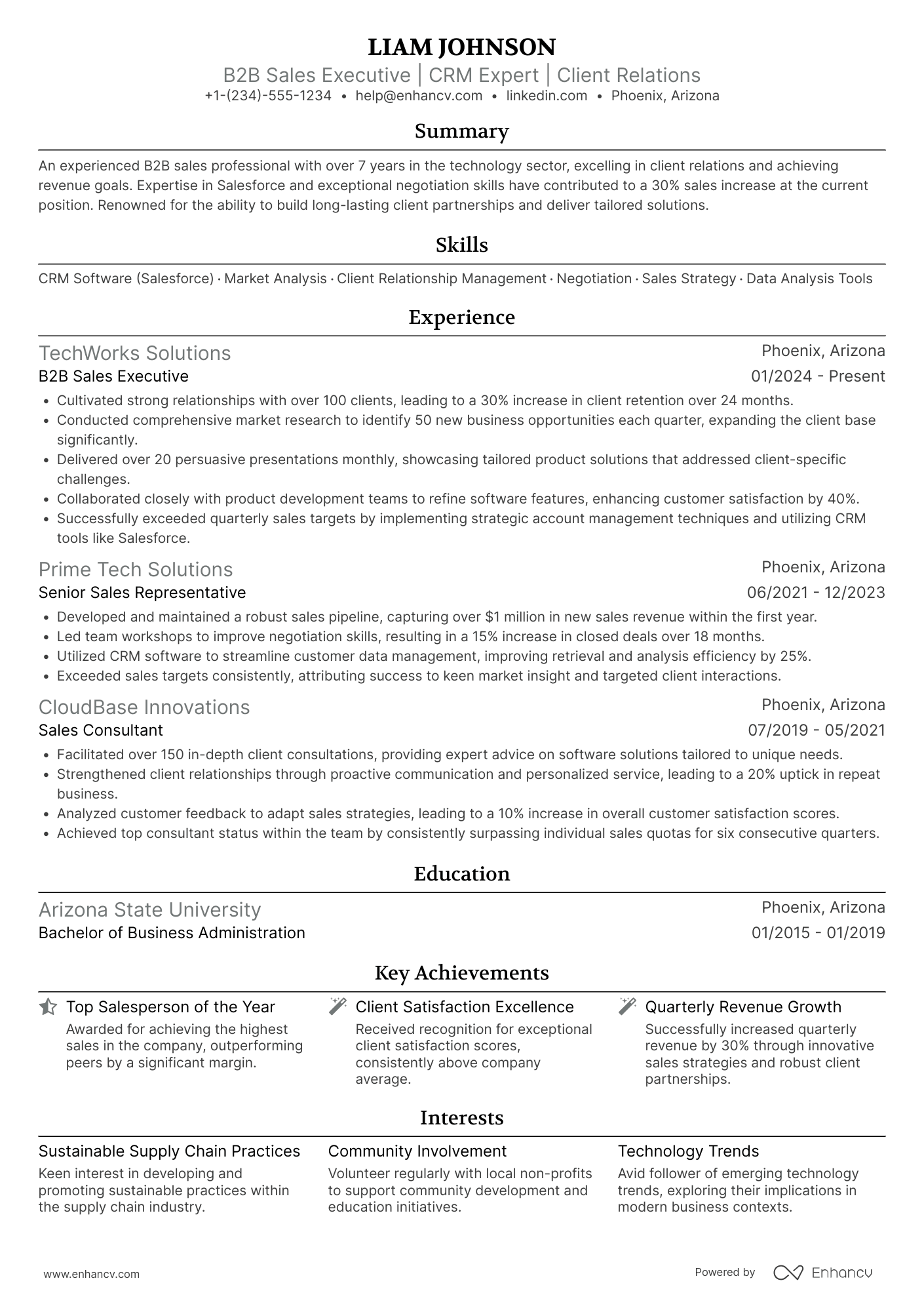 B2B Sales Resume Example
