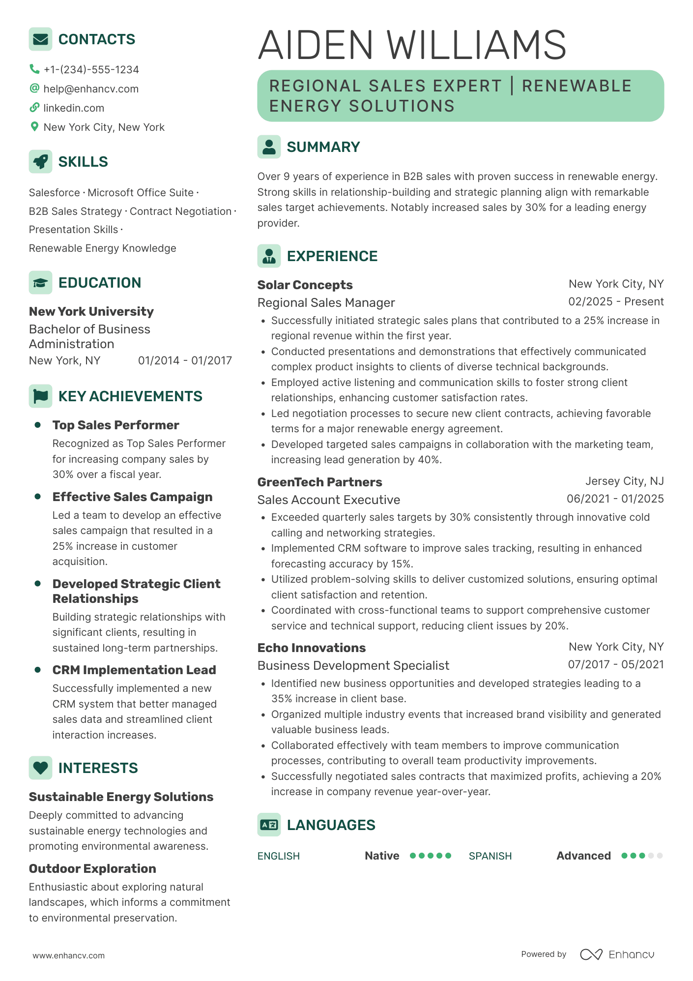 Regional Sales Professional Resume Example