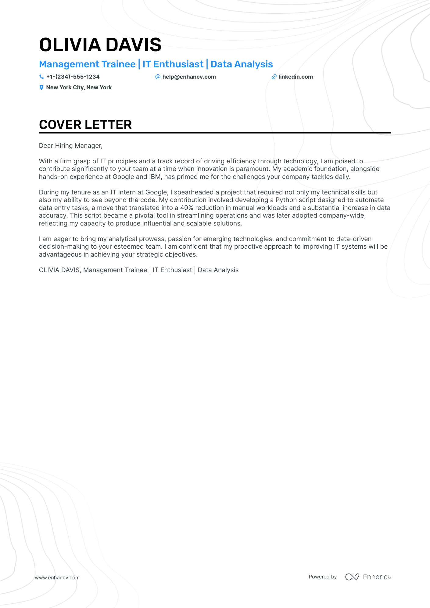 Entry Level IT Resume Example