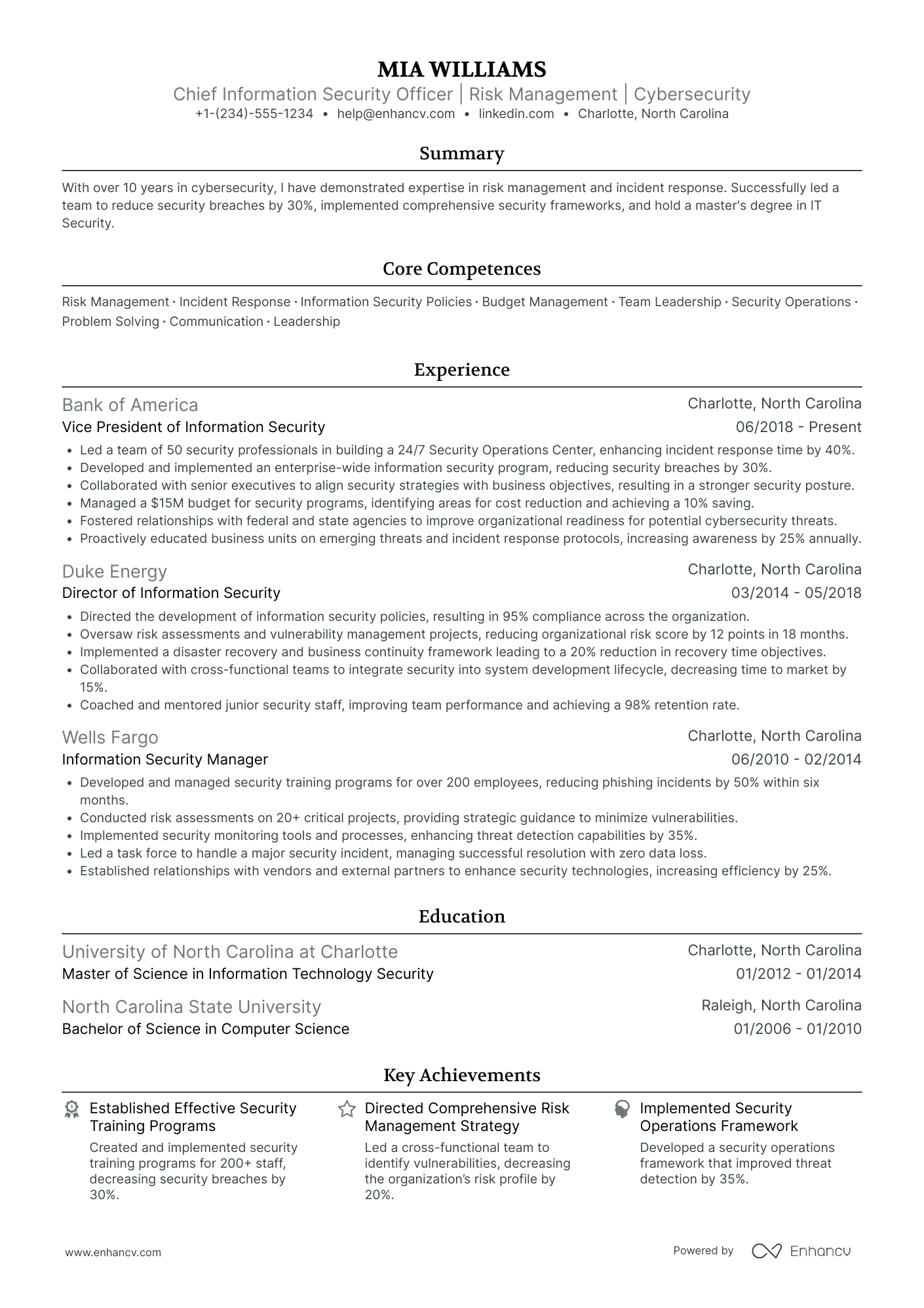 Chief Information Security Officer Resume Example