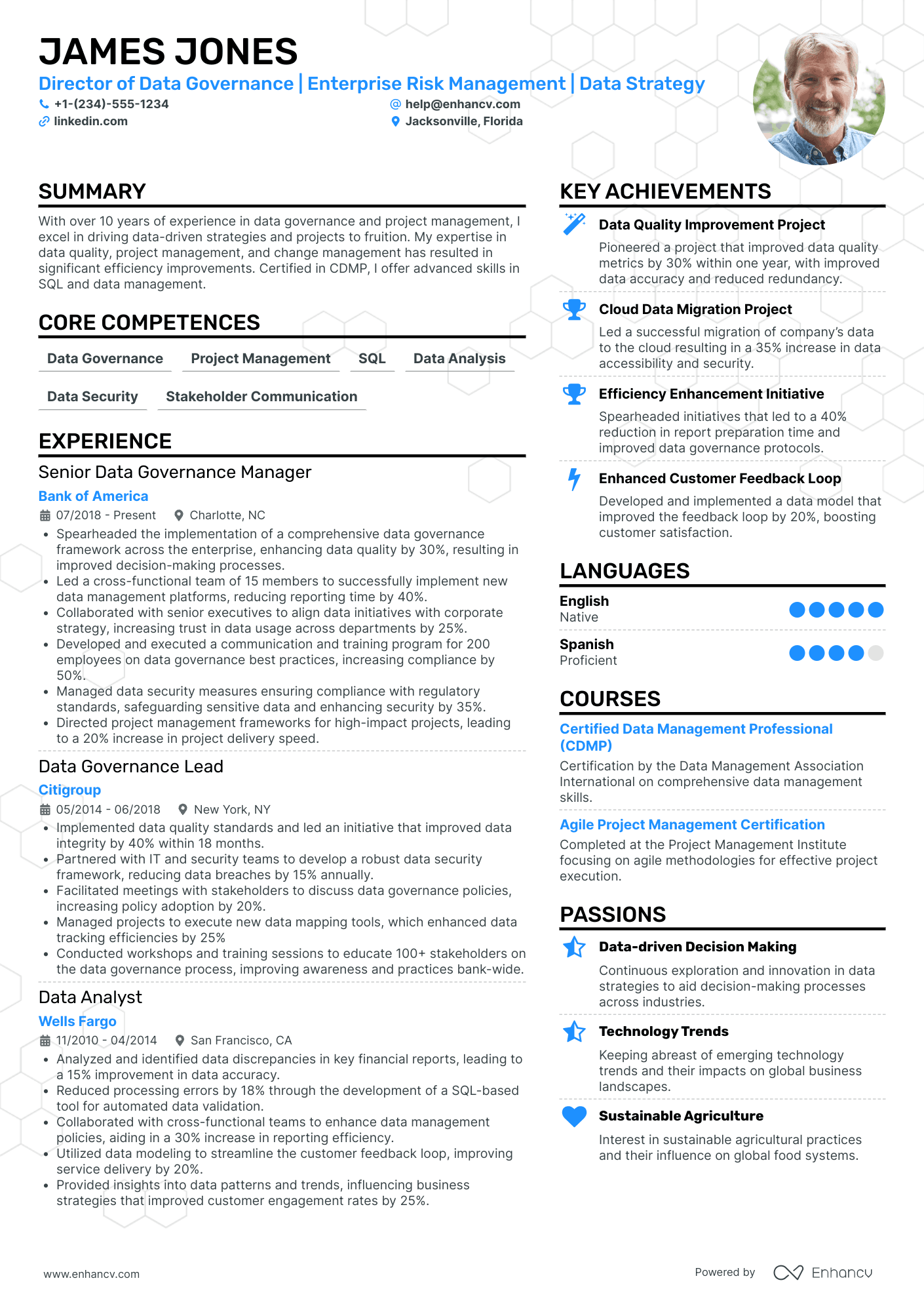 Chief Data Officer in Agribusiness Resume Example