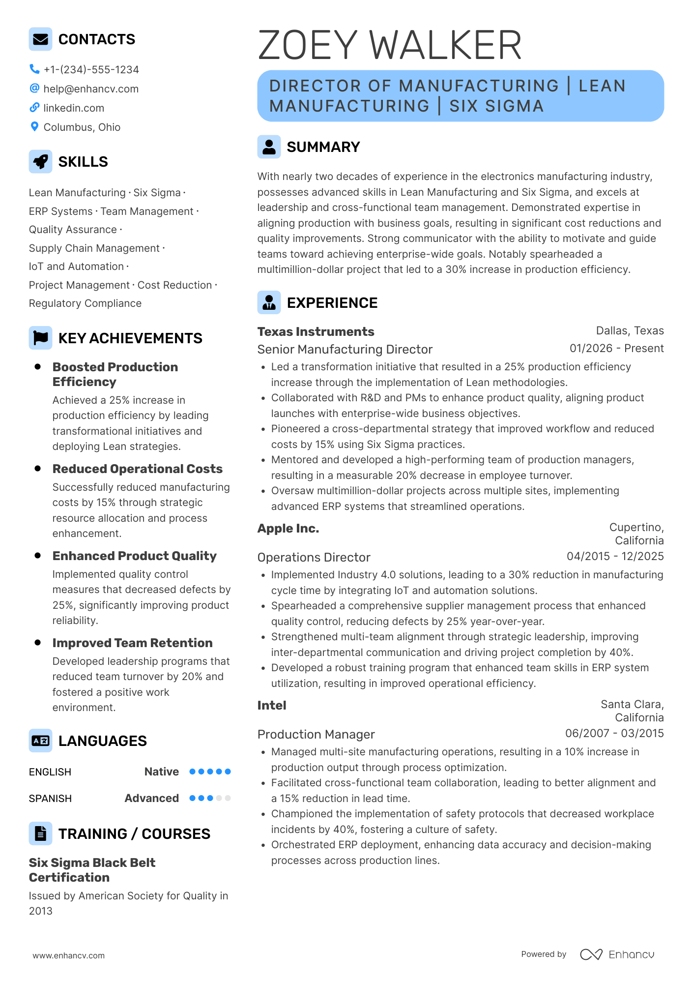 Director of Manufacturing Resume Example