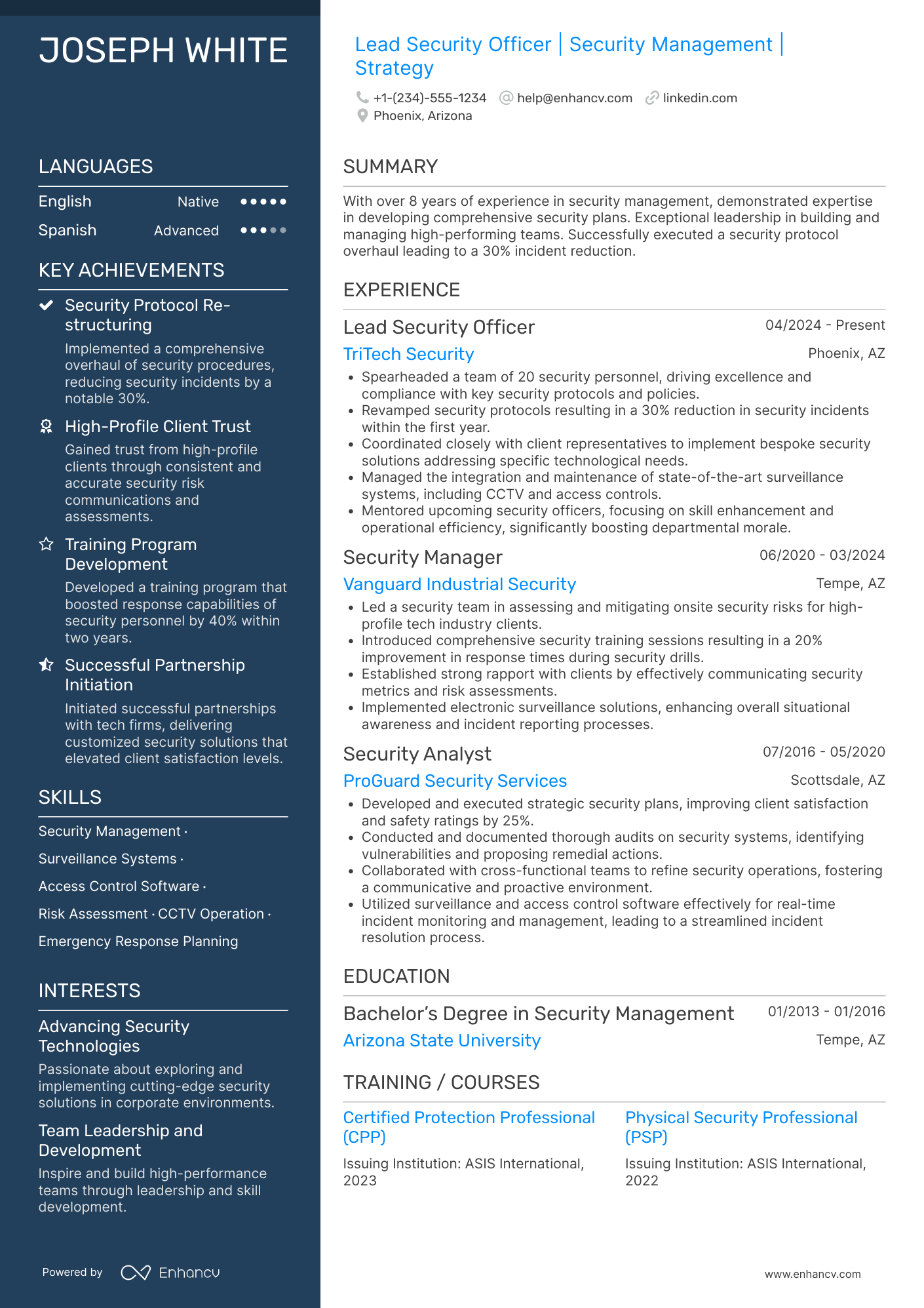Lead Security Officer Resume Example