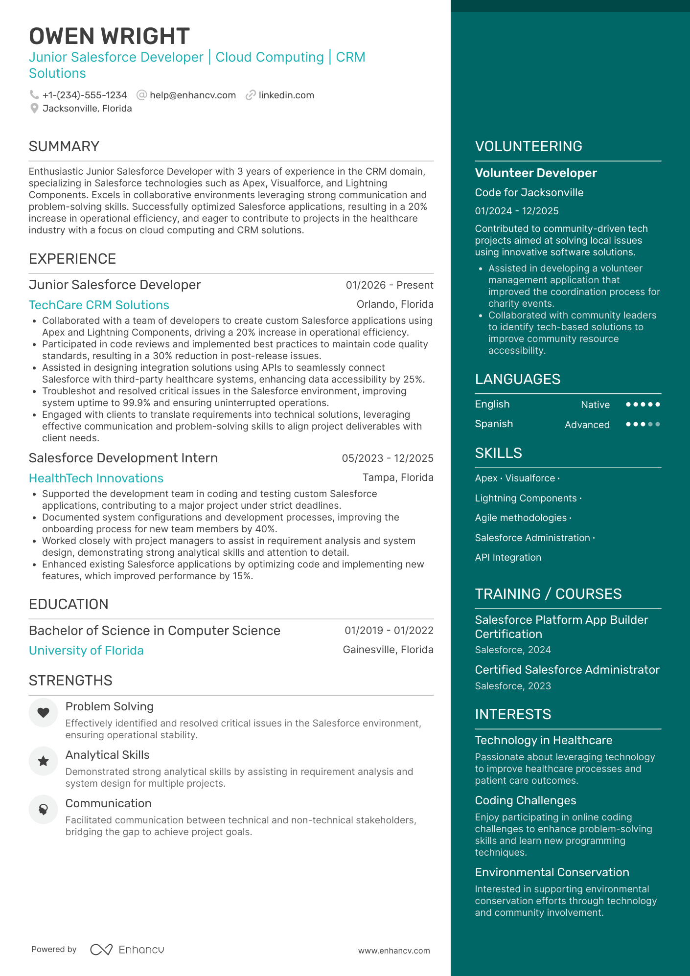 Junior Salesforce Developer Resume Example