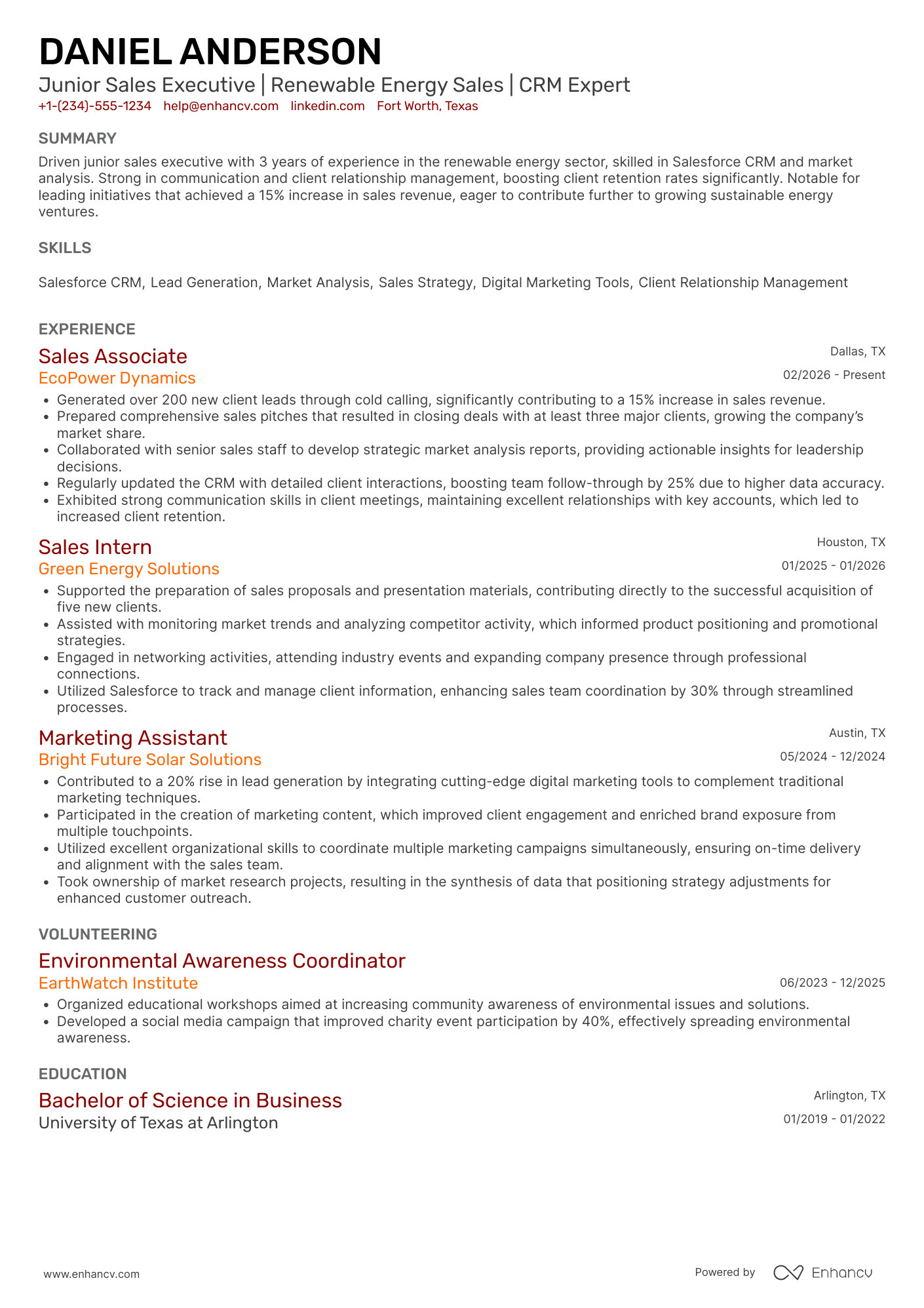 Junior Sales Executive Resume Example