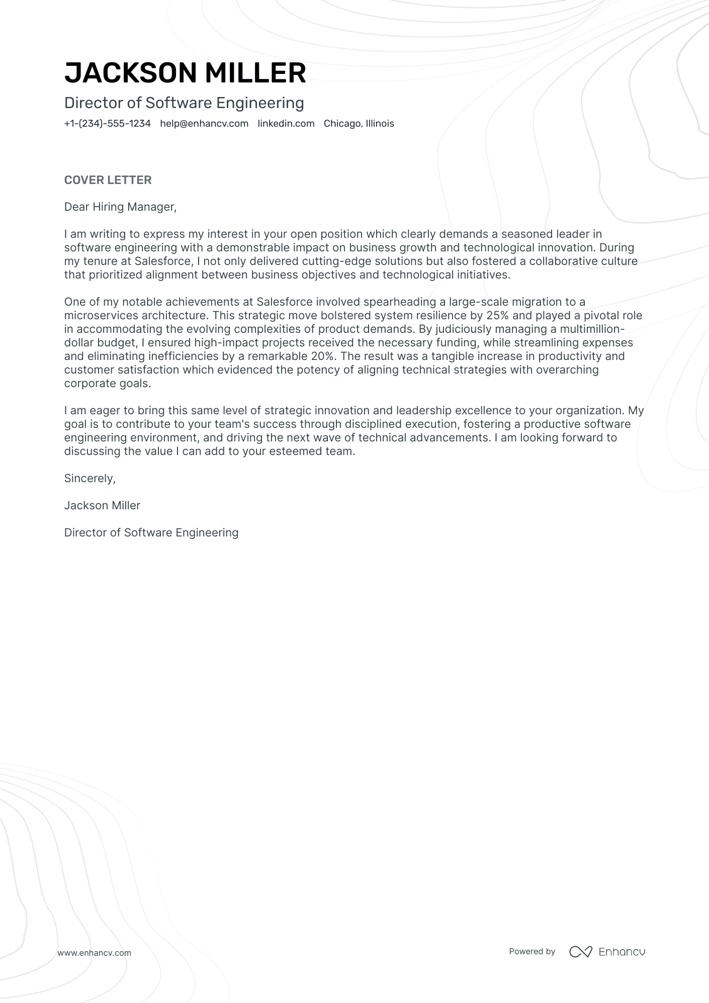 Director Of Software Engineering Resume Example