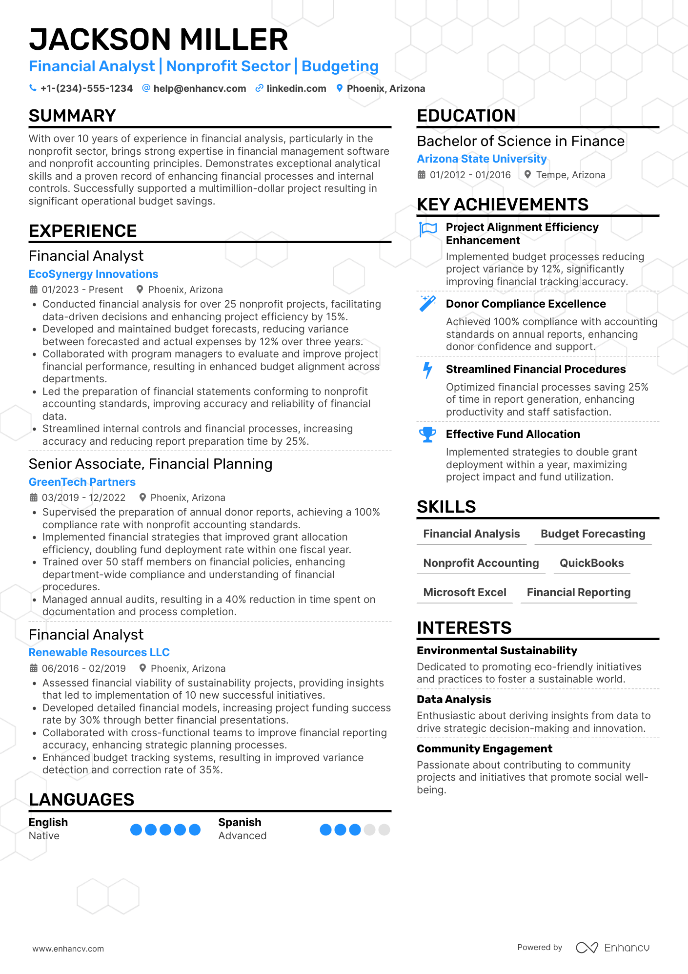 Non Profit Financial Analyst Resume Example