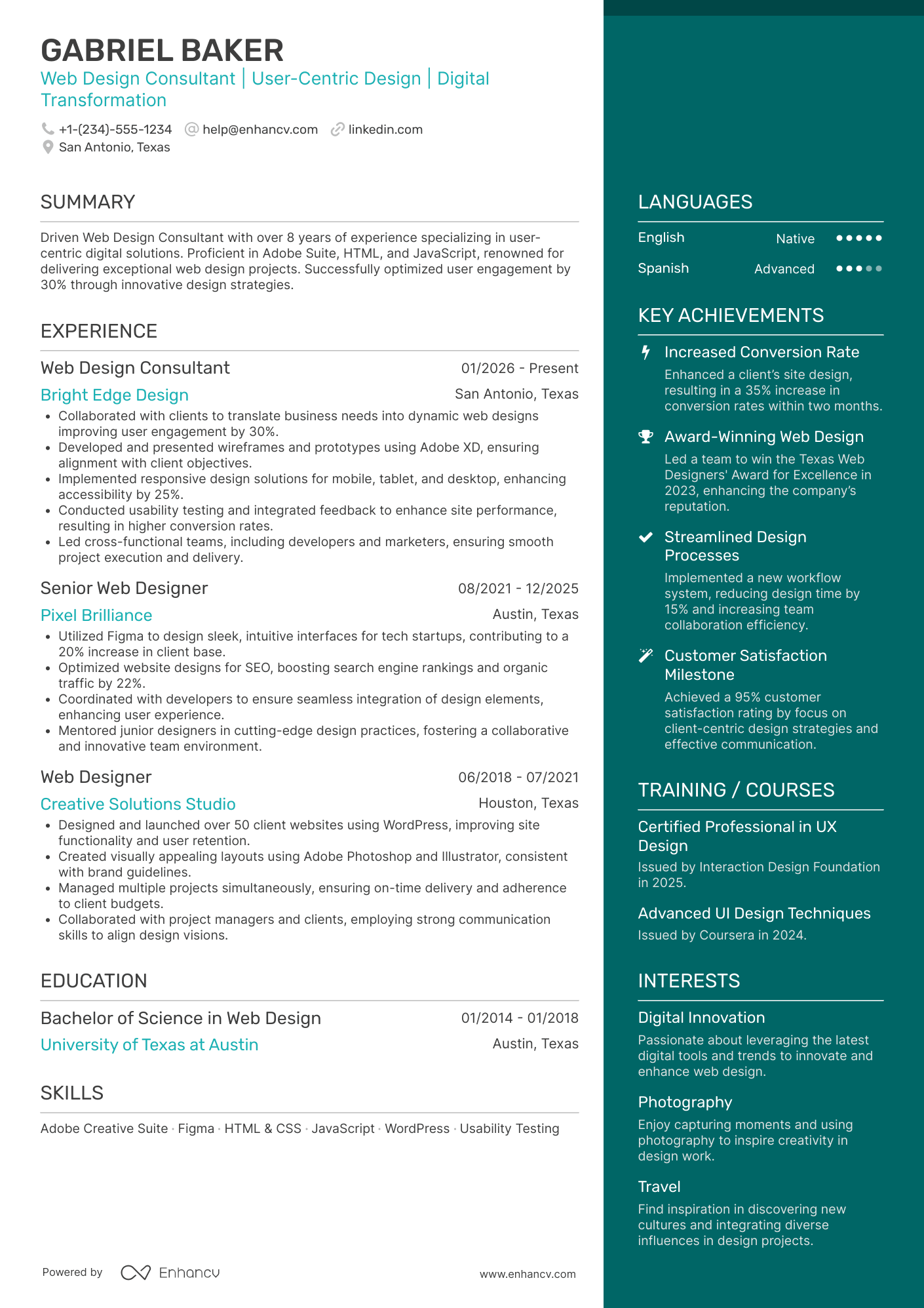 Web Design Consultant Resume Example