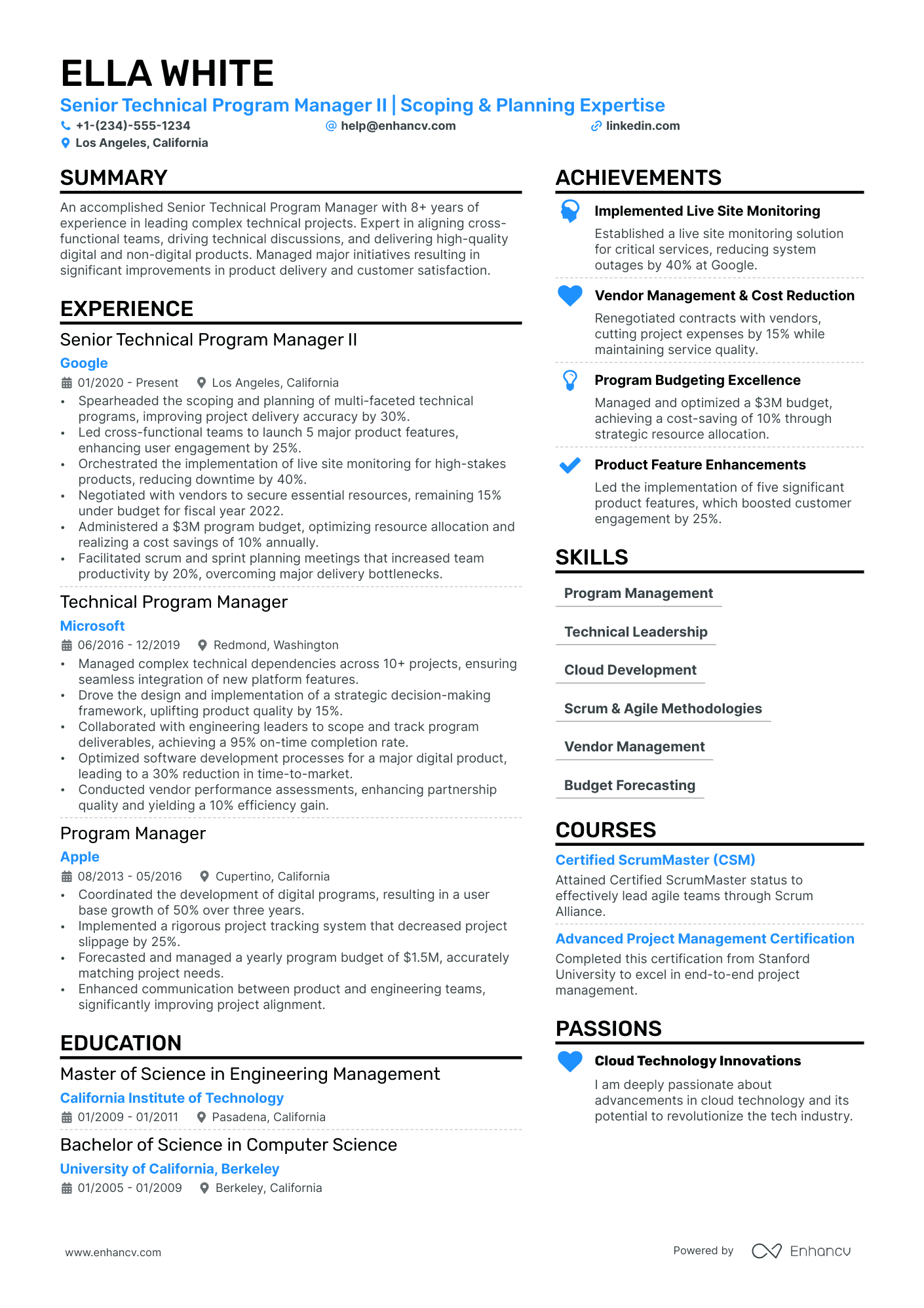 Technical Program Manager Resume Example