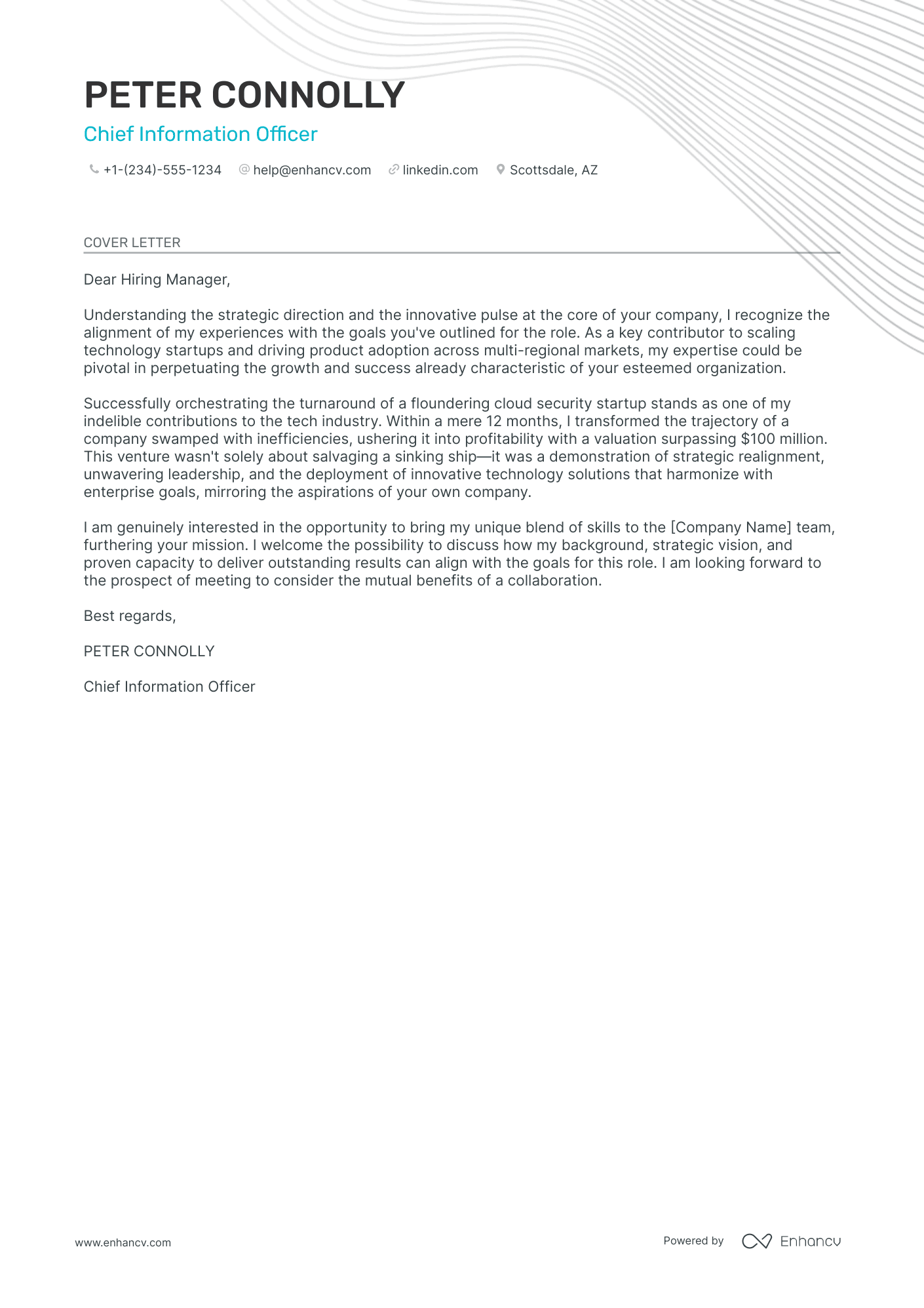 CIO Resume Example